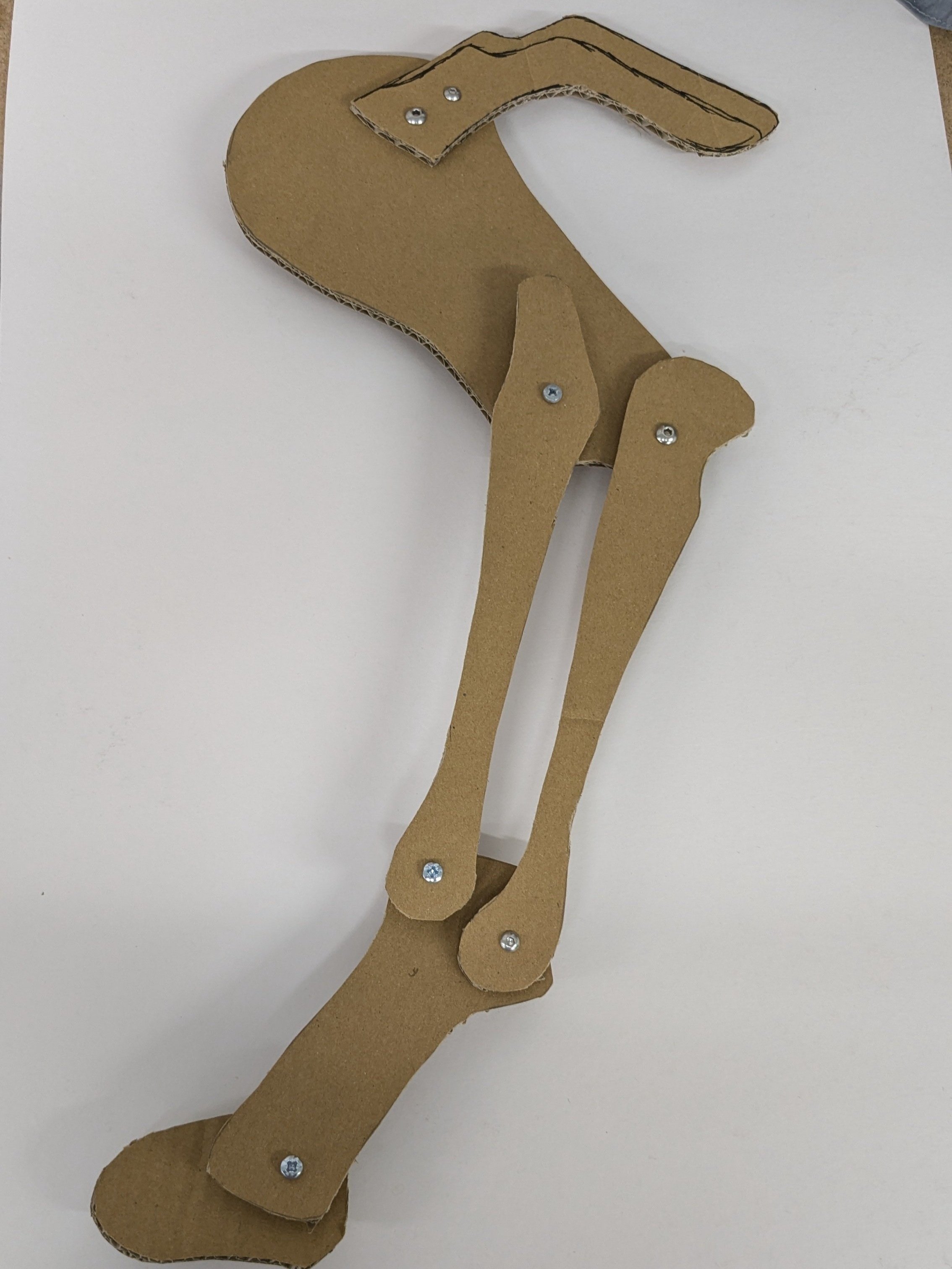 PXL_20241128_10194775772.jpg