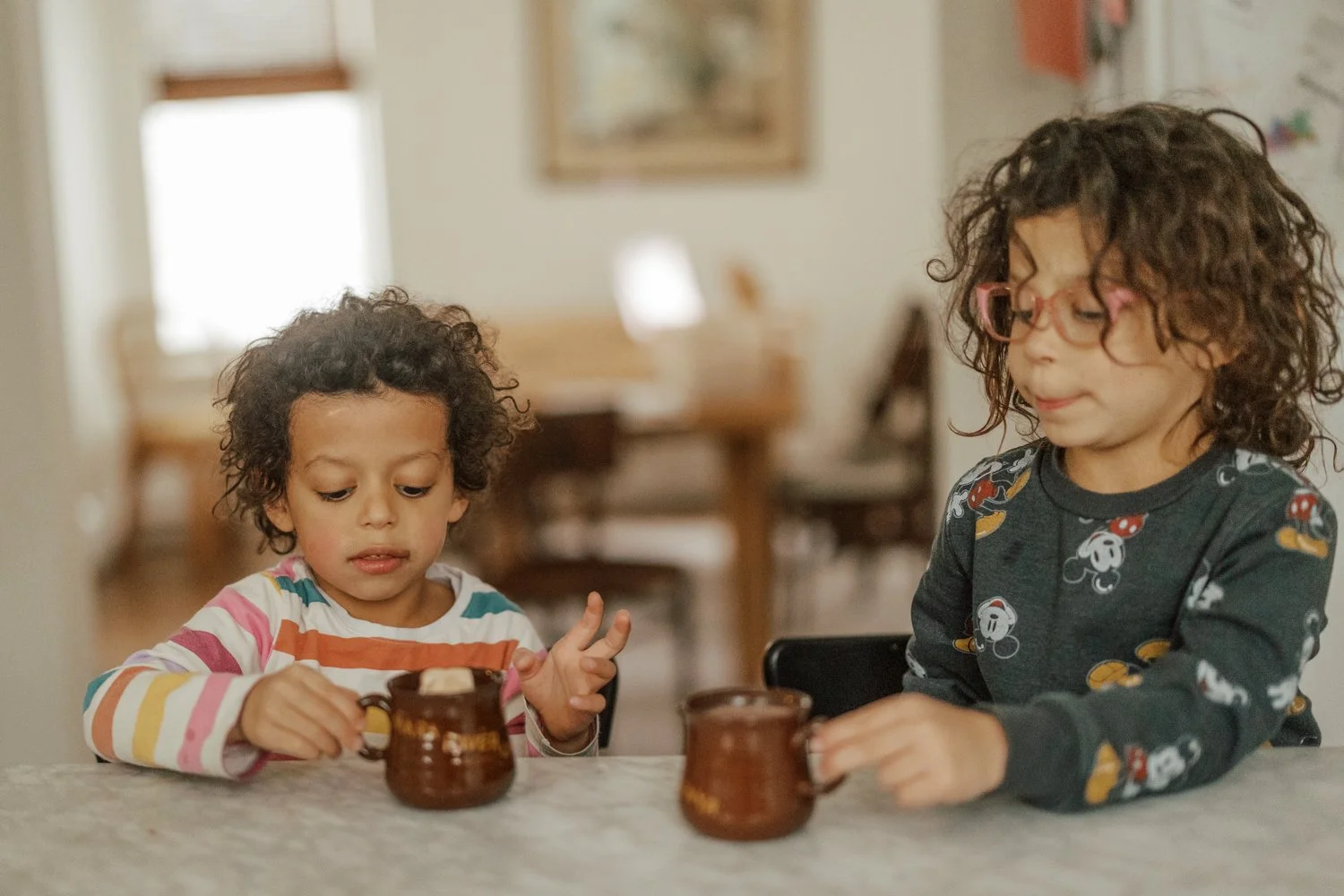 Cocoa Mix & Artisan Marshmallows