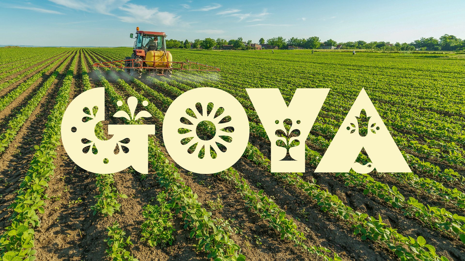 Long_Zoey_Goya_Branding_1of7.jpg