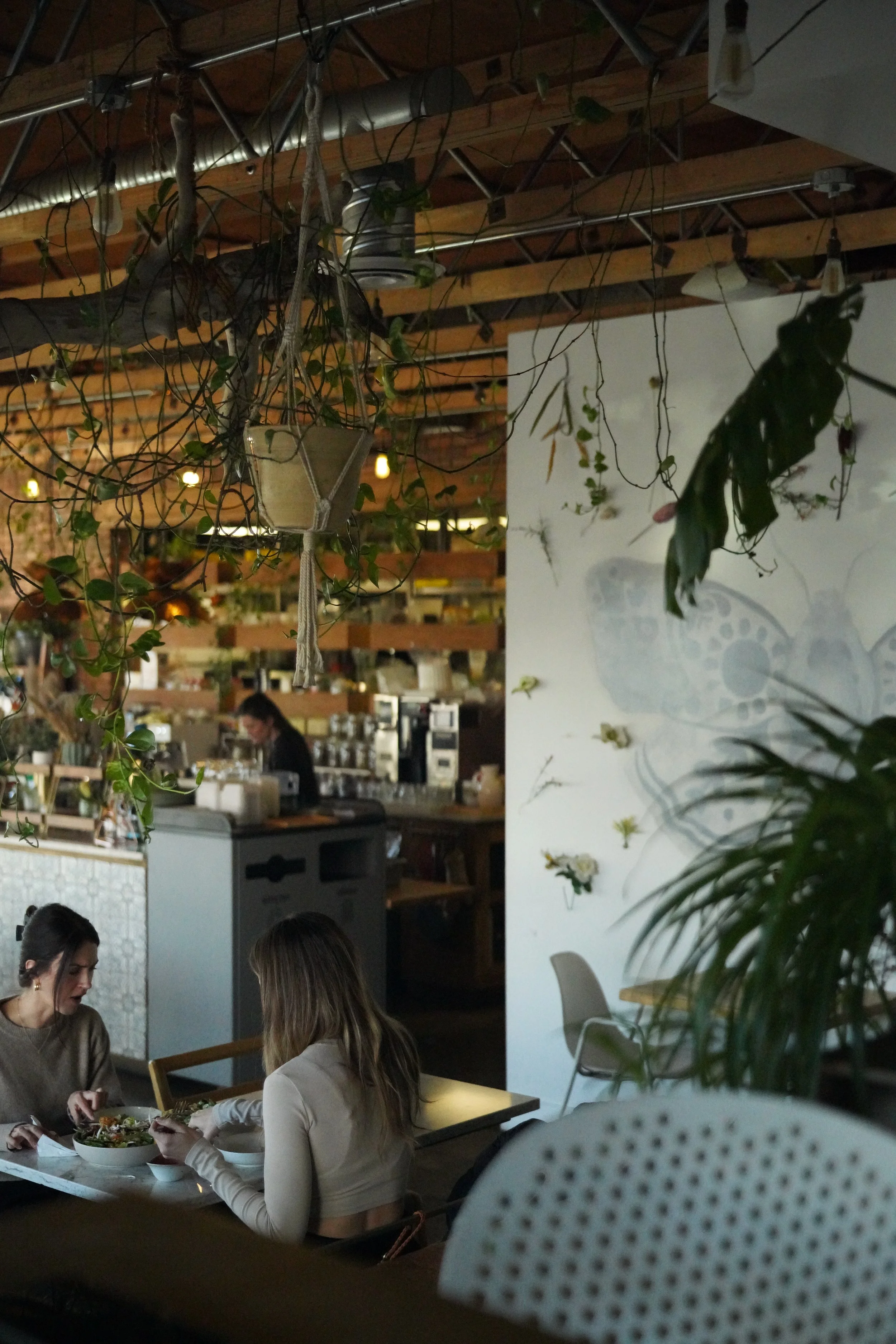 The Moth Cafe | Plant-based Restaurant