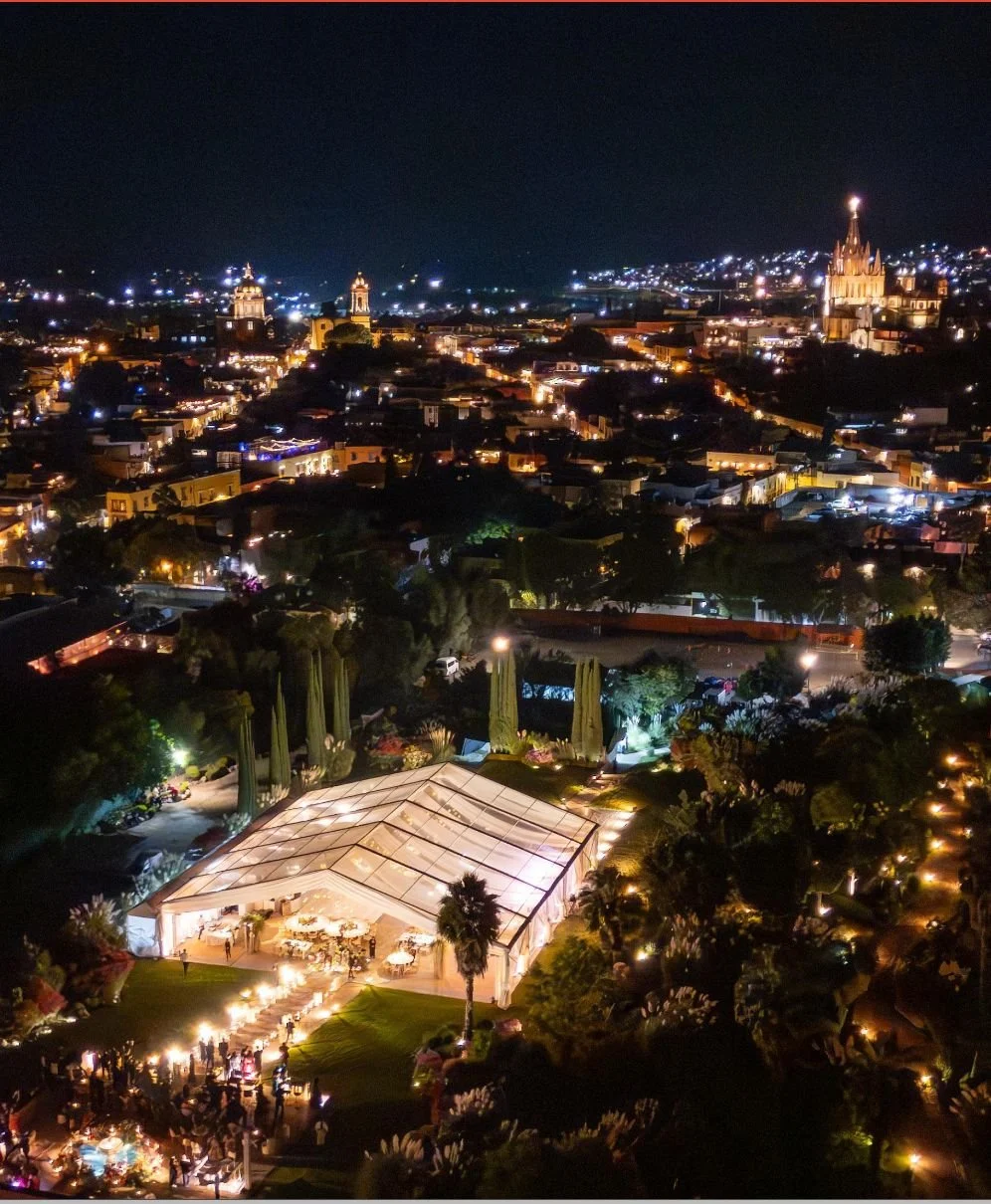 STI Plantas de Luz Negrete