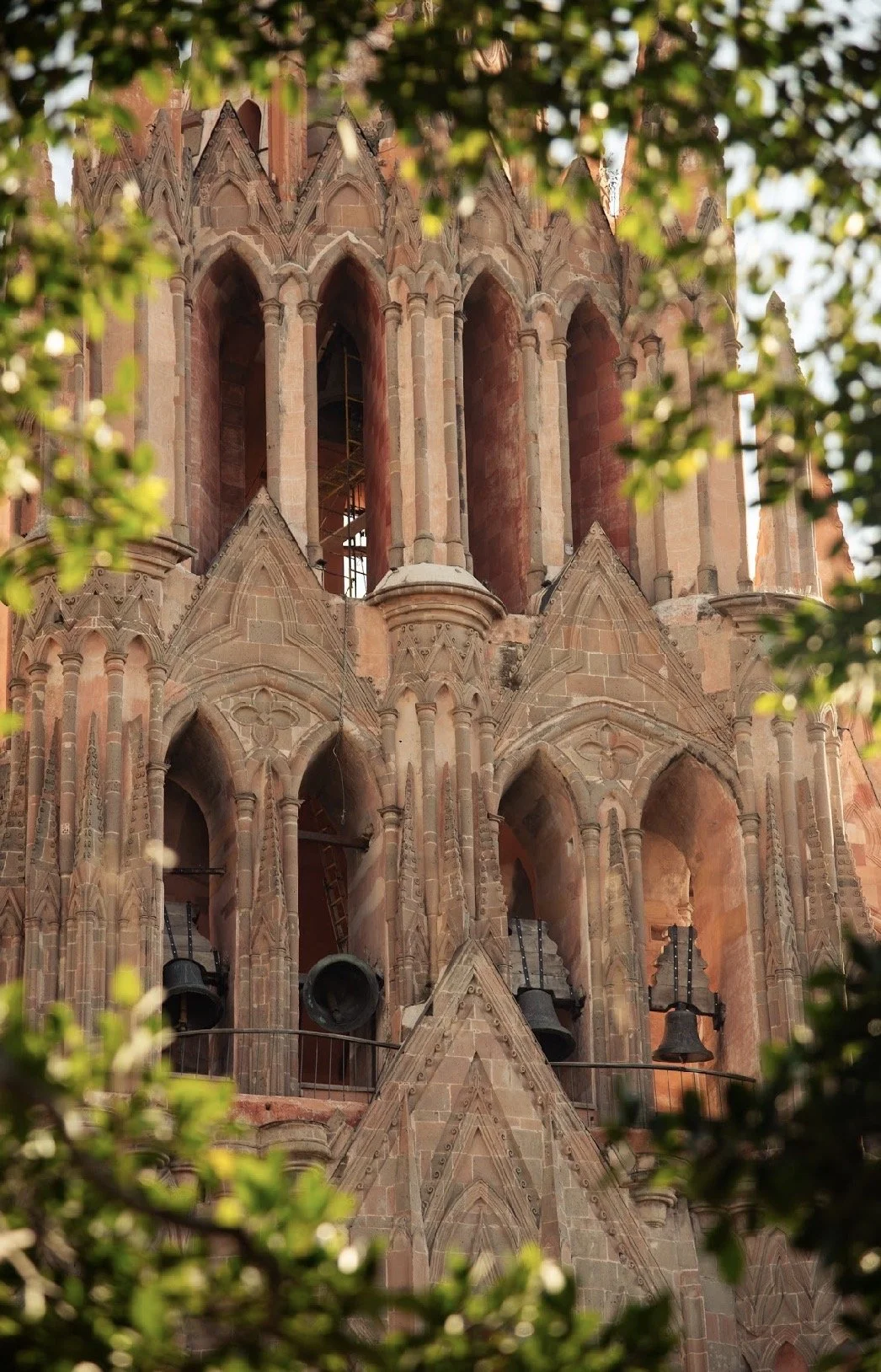 Tradición sanmiguelenese: La Fiesta de San Antonio de Padua y el Convite de los Locos 
