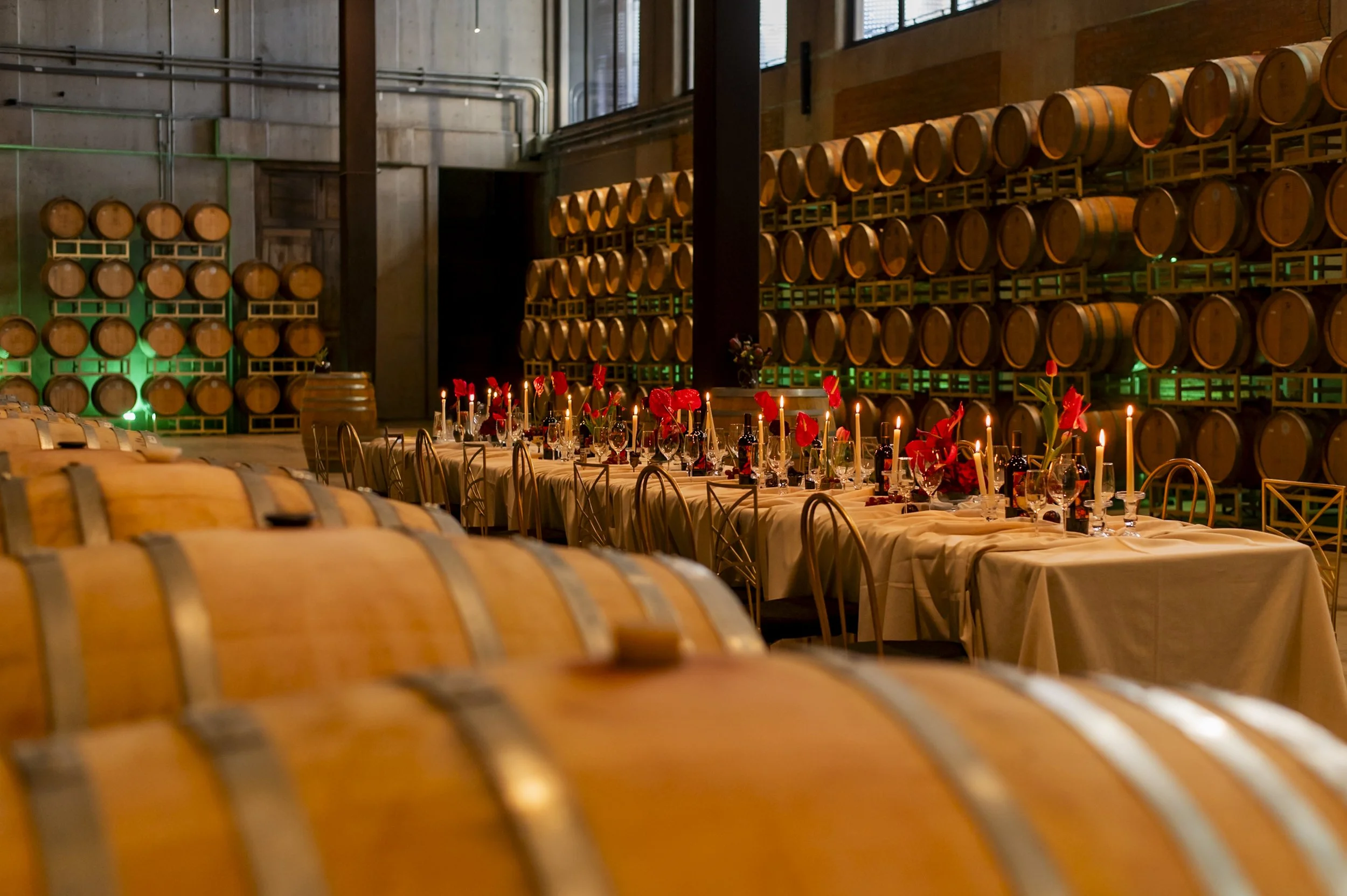 Viñedo San Miguel es nombrado Bodega del Año 2026