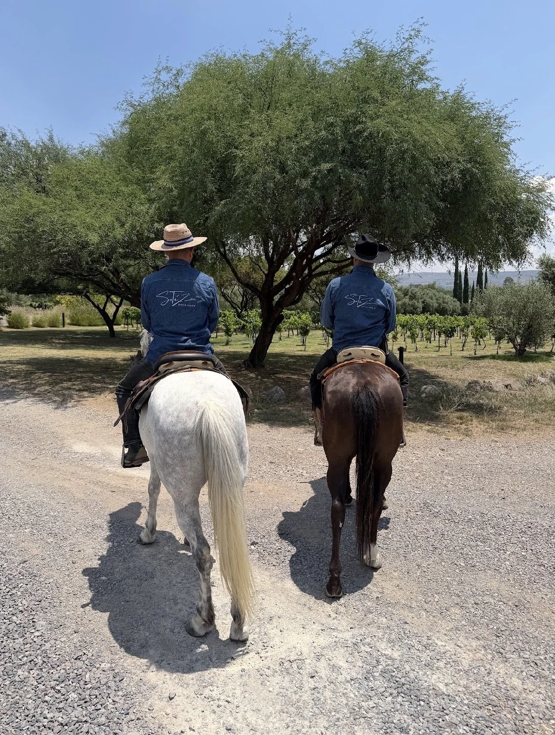 Descubrir Senderos a caballo