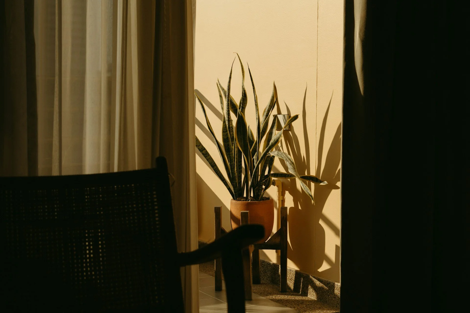 Noor Psychiatry - Waiting Room