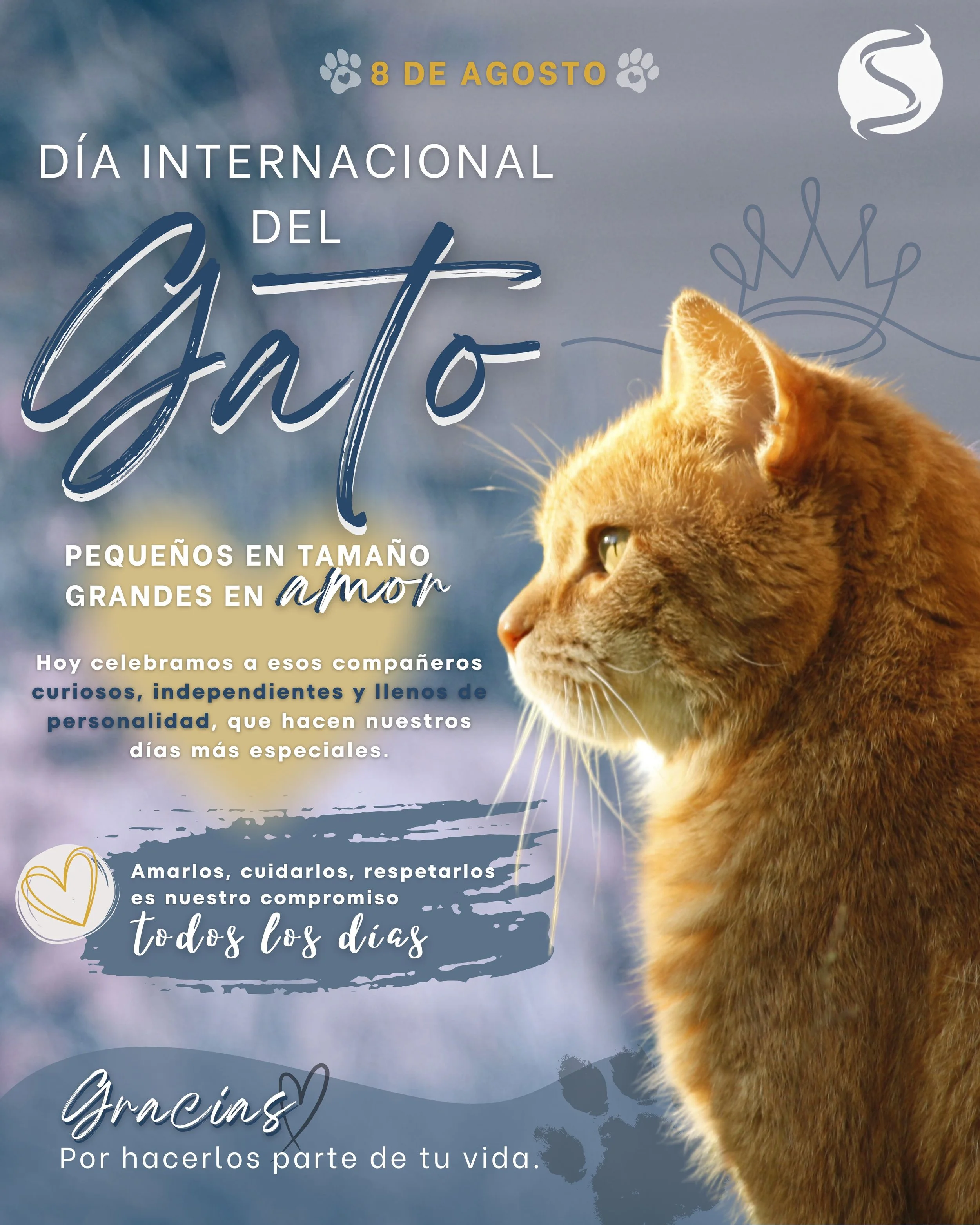 ¡Día internacional del GATO!