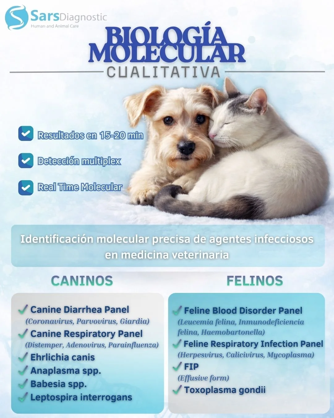 WhatsApp Image 2026-02-05 at 11.16.07 AM.jpeg