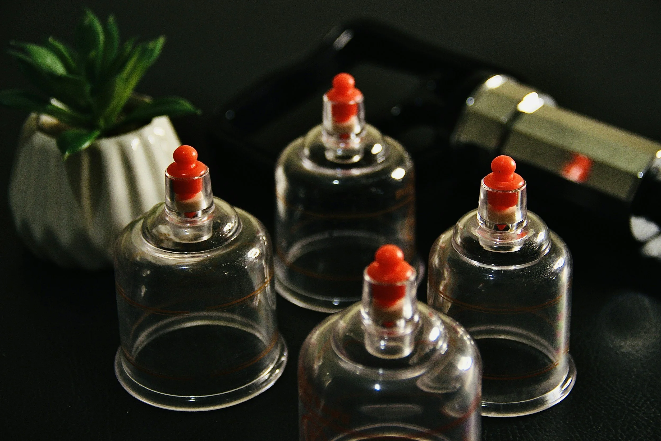 Four empty glass bottles with red rubber stoppers on a black surface, with a small potted green succulent plant and a black object in the background.