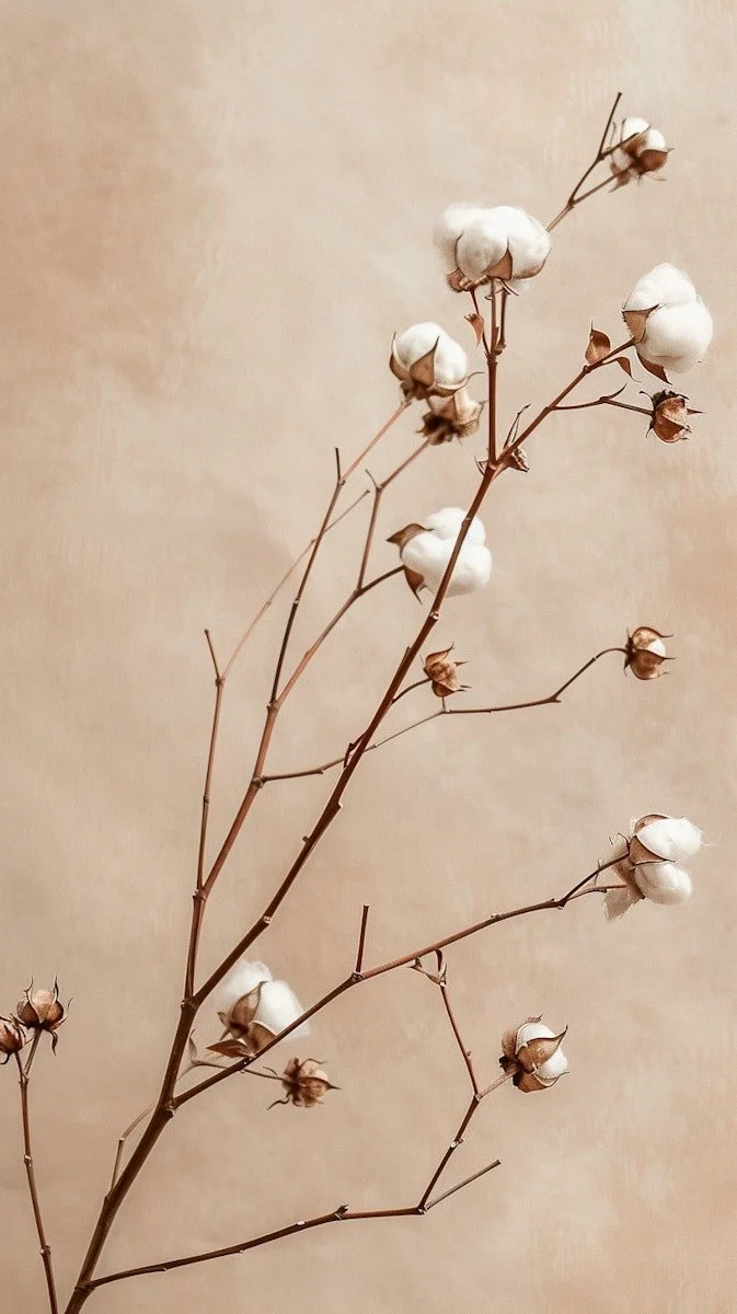 Best Medspa in Grosse Pointe Woods, MI, 48236