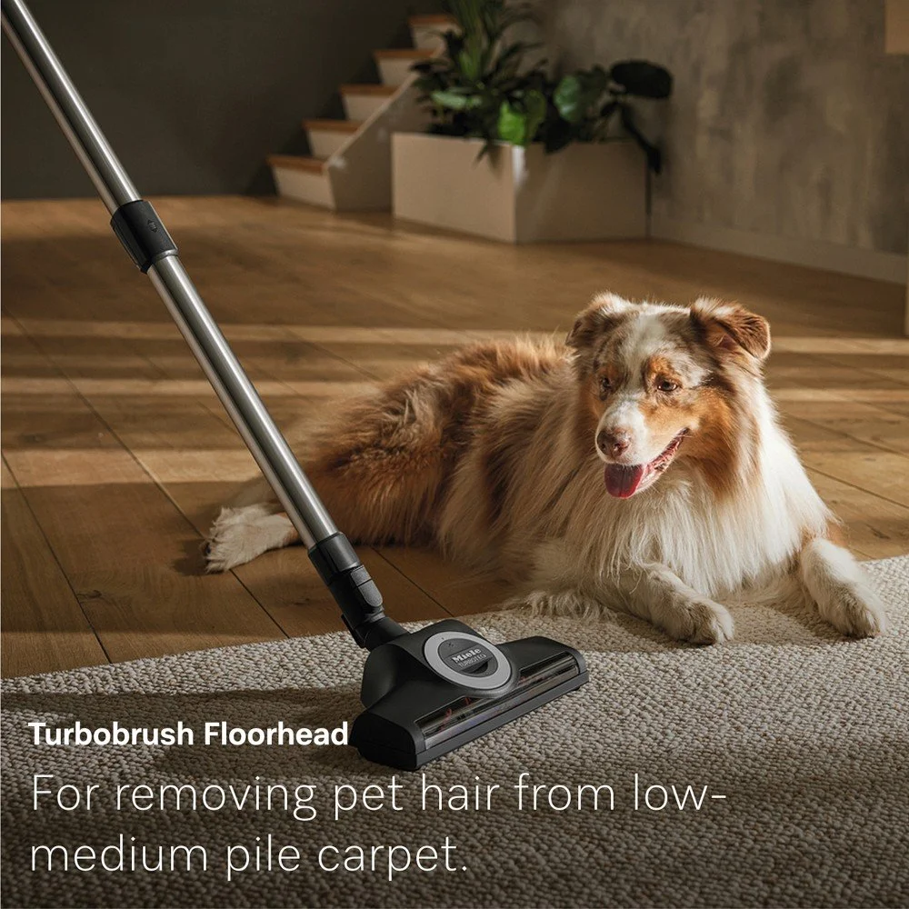 miele-guard-m1-cat-dog-canister-vacuum-z.jpg