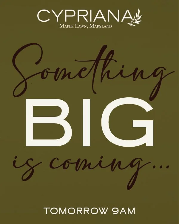 I'll just leave this here...See you tomorrow at 9am 🤫🥙🍷