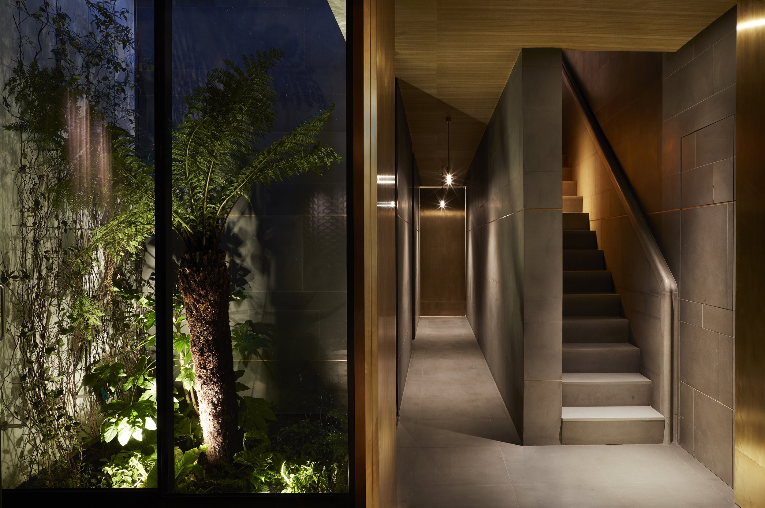Lightwell Garden.jpg