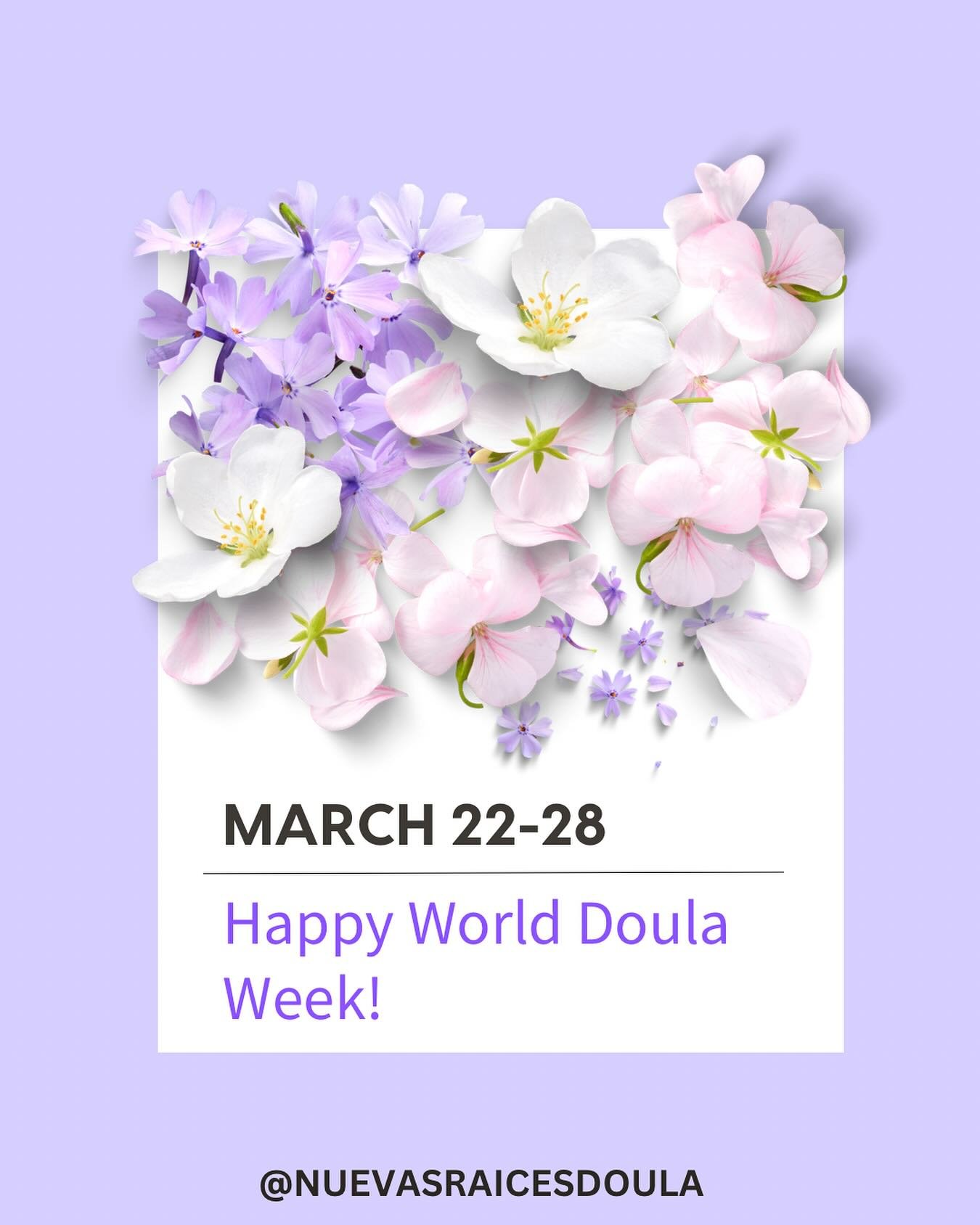 🌍💖 Celebrating the incredible doulas who support, empower, and guide families through one of life&rsquo;s most transformative experiences. Happy World Doula Week!

Doulas bring compassion, knowledge, and strength to the birth journey, offering phys