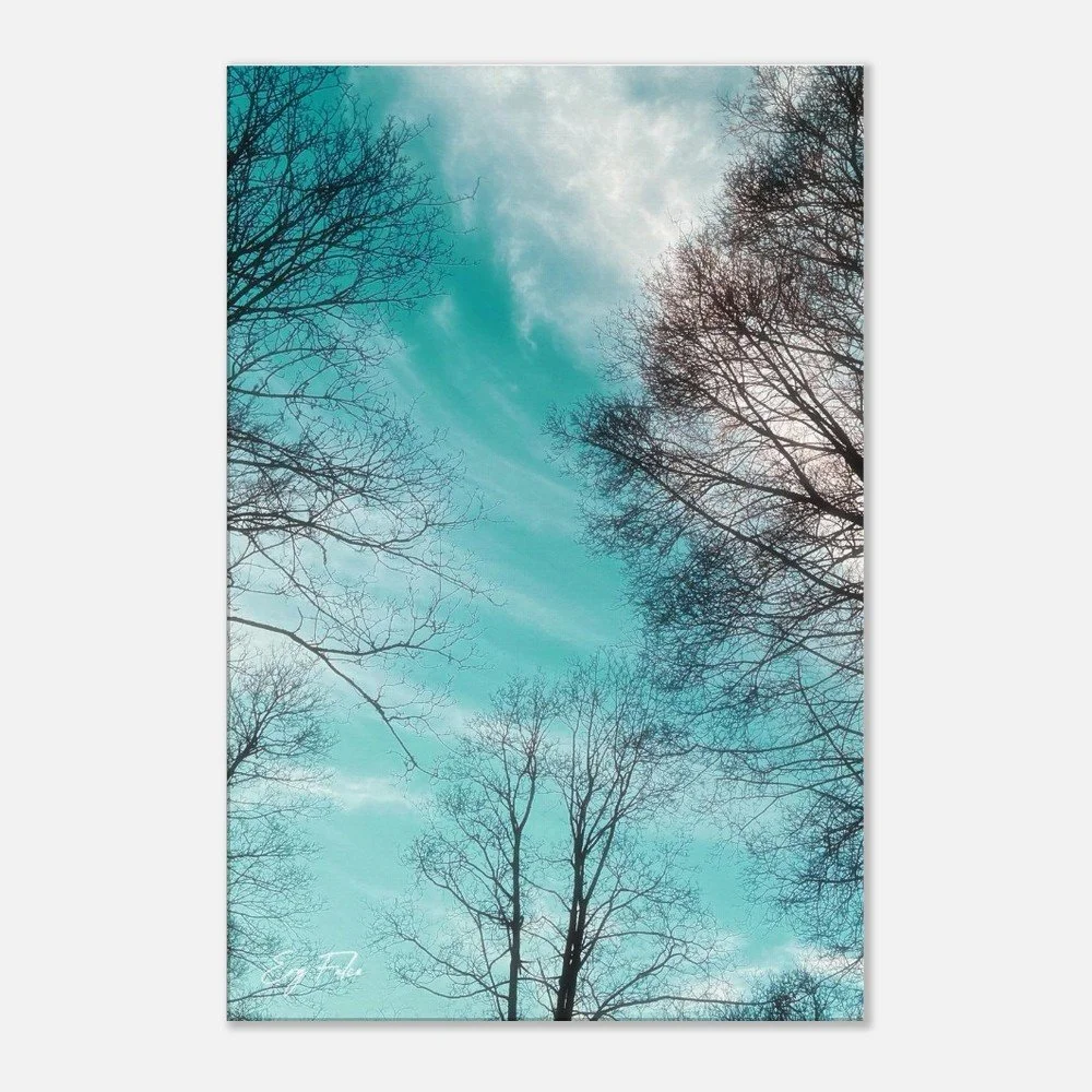 Sky view from the Englischer Garten, München | Travel Photo | Wall Art Canvas