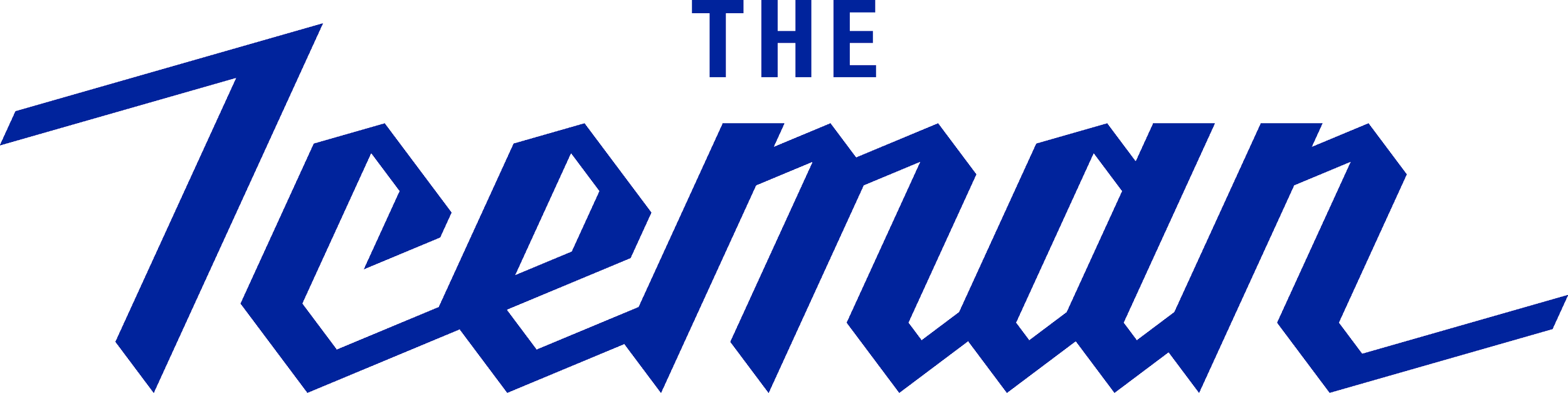 The Iceman | Toronto Ice Delivery for Events & Businesses