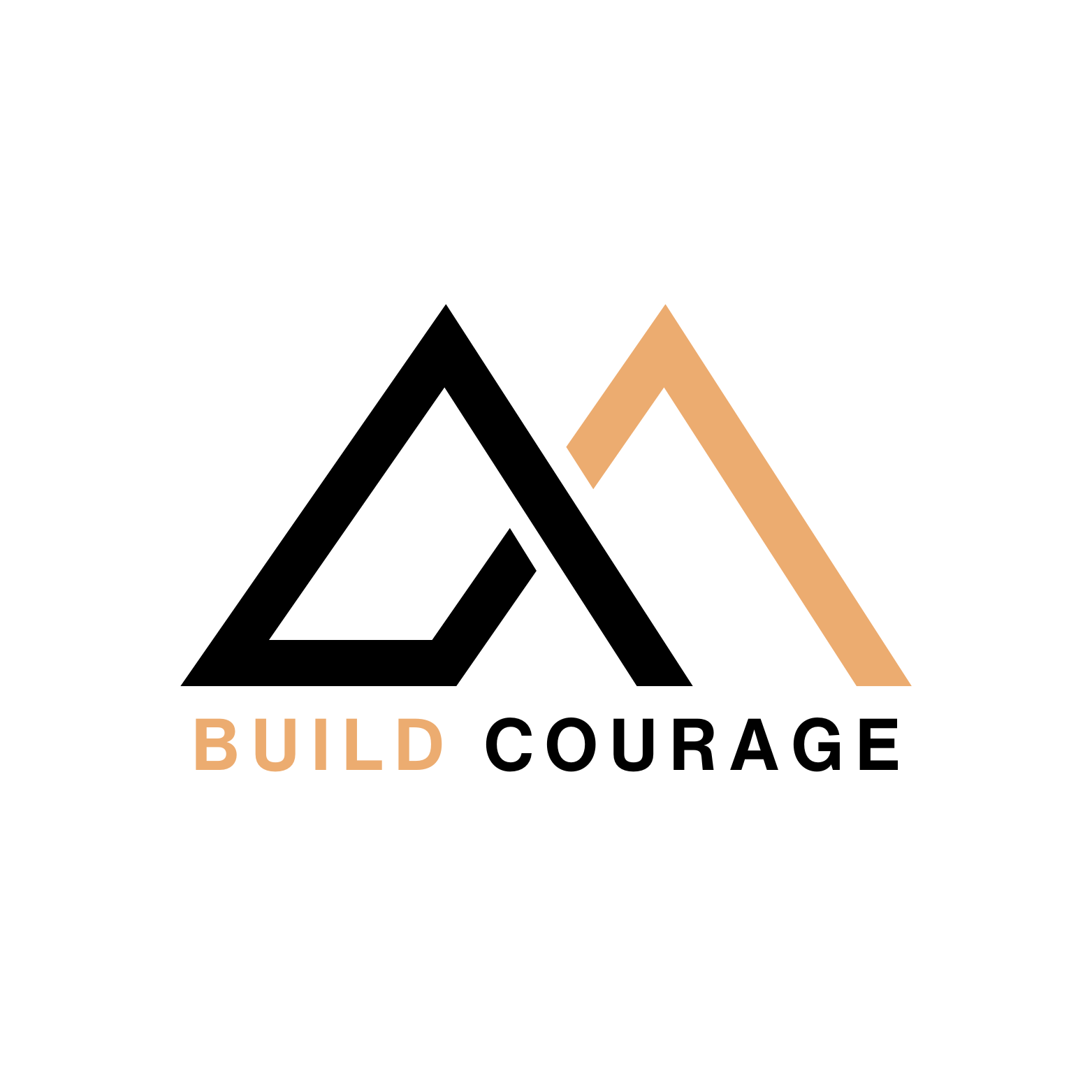 Logo with stylized black and tan mountain peaks and the words "BUILD COURAGE" below, with "BUILD" in tan and "COURAGE" in black.
