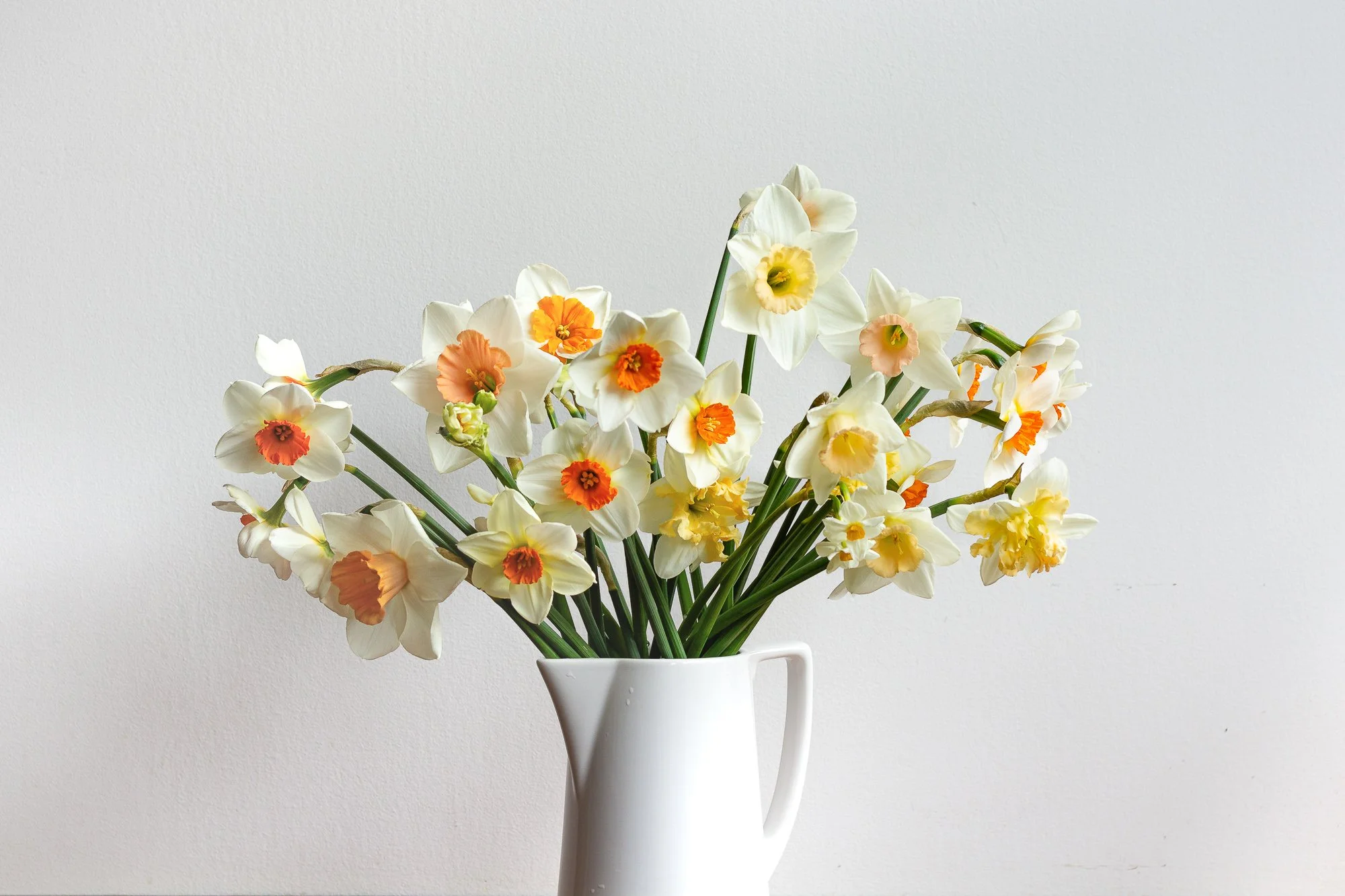 IMG_6874For Web49Web.jpg