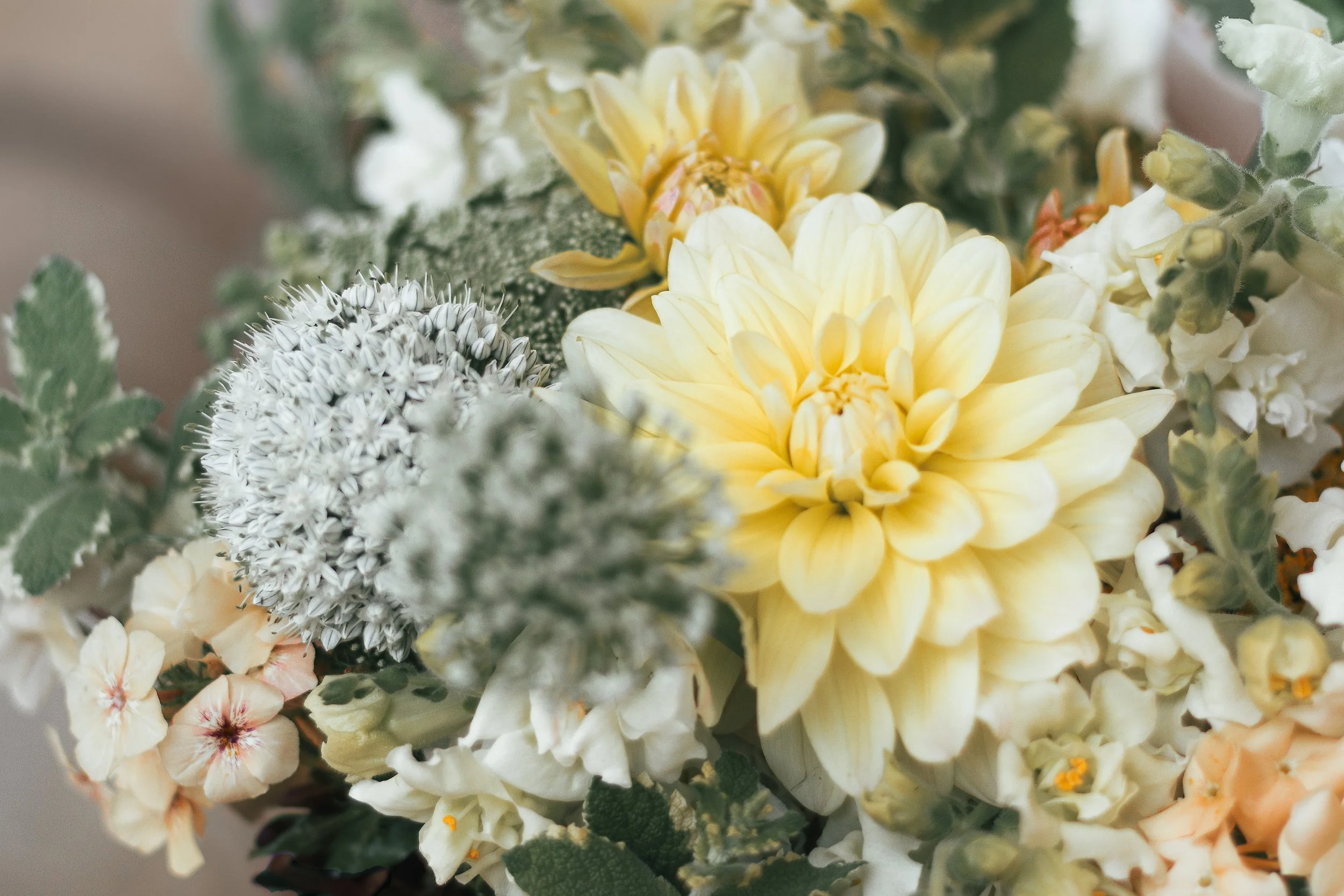 IMG_4379-Edit Full Size Image Web Image.jpg