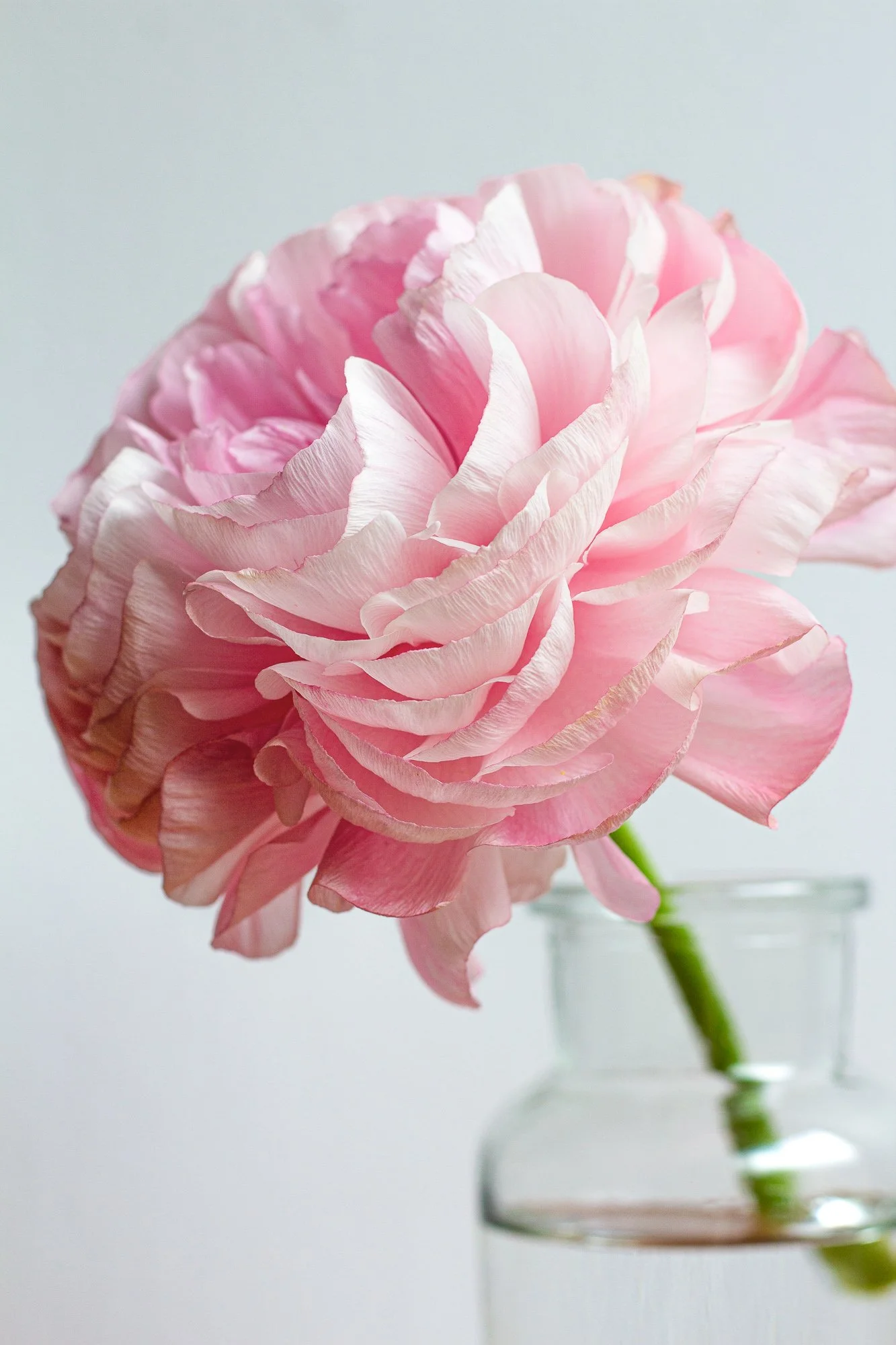 IMG_6935For Web56Web.jpg