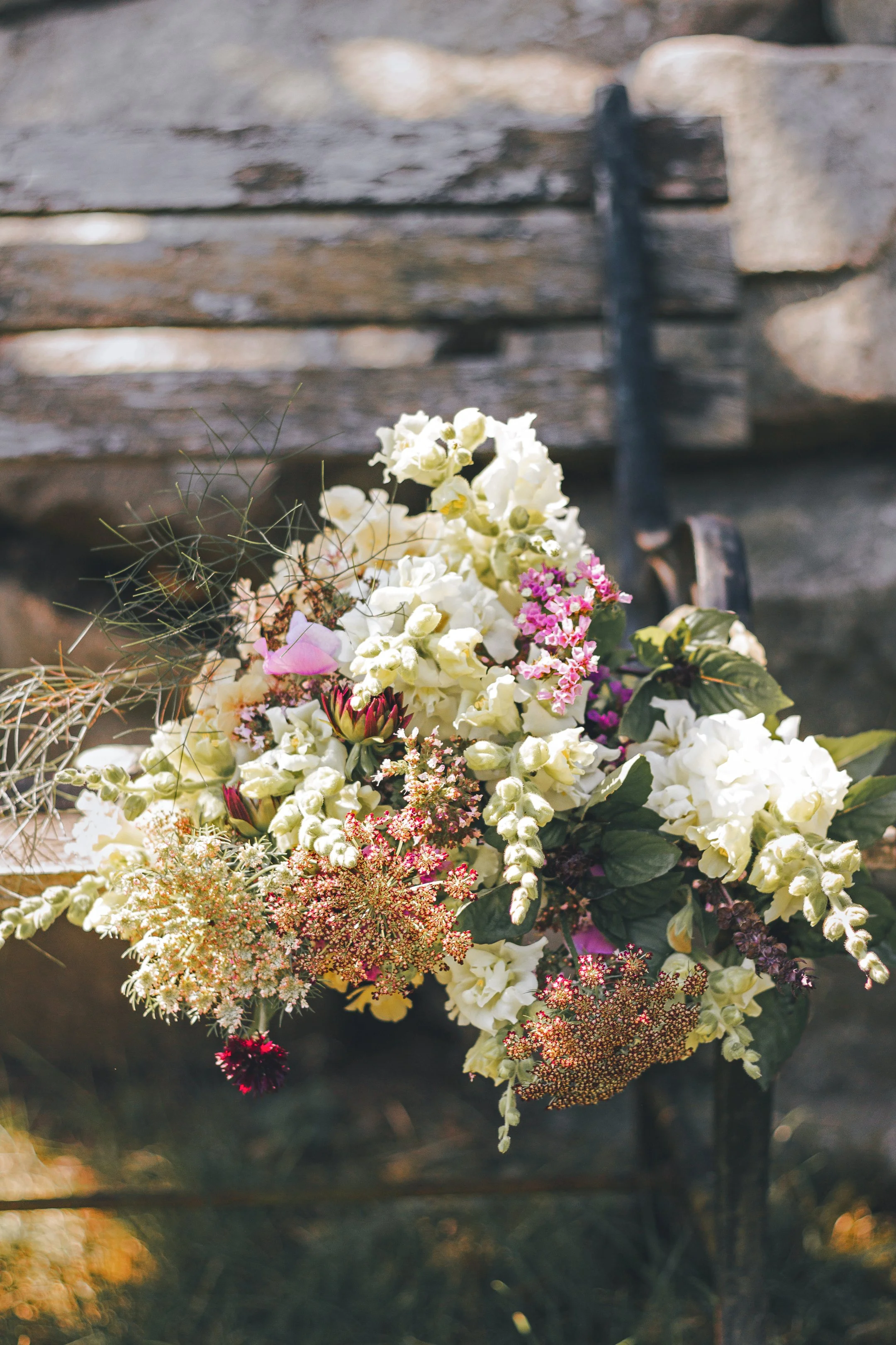 IMG_4440 Full Size Image Web Image.jpg