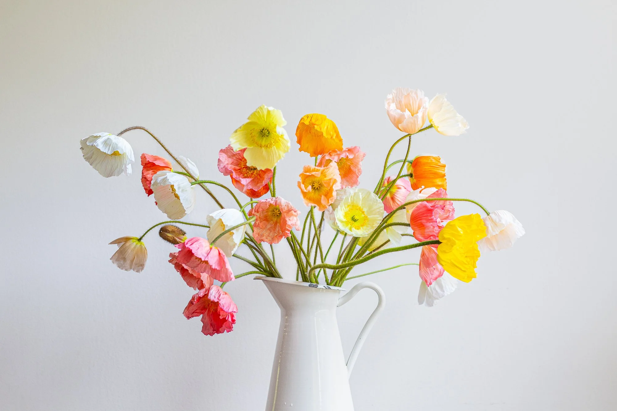 IMG_7024For Web59Web.jpg