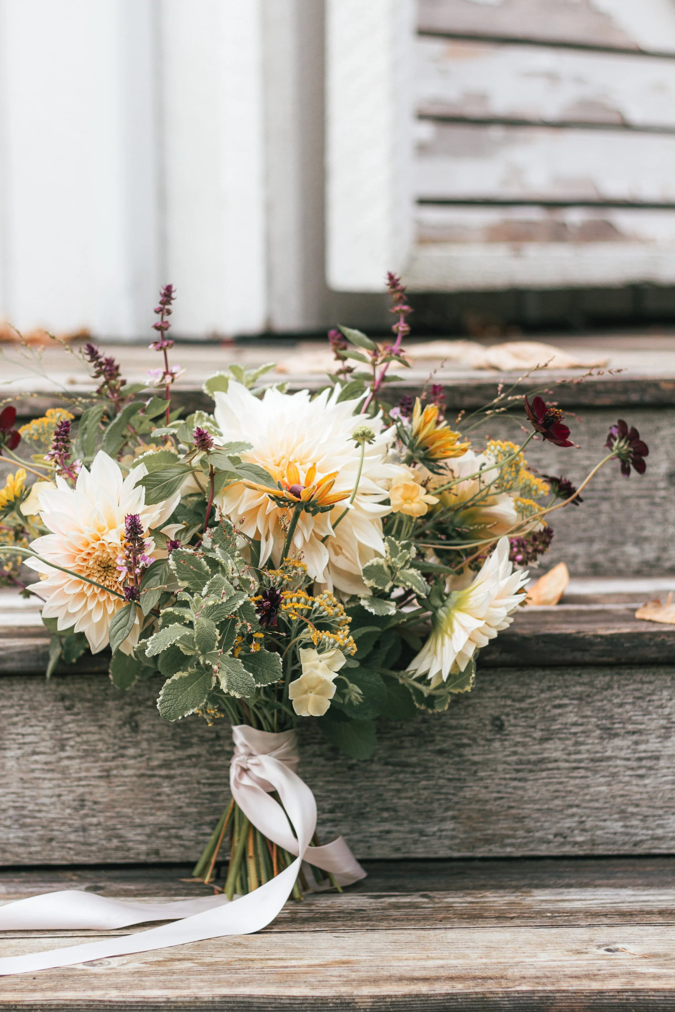 IMG_5958 Full Size Image Web Image.jpg