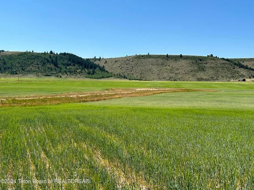 Rose Ridge Image.jpg