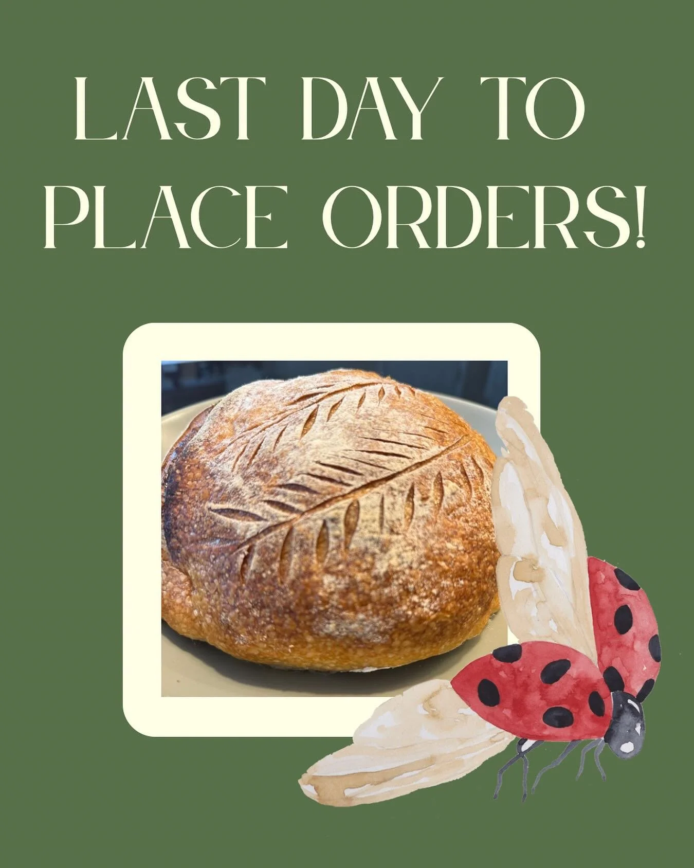 Place your orders for pick-up or delivery on Thursday August 21! 

Sourdough bread goes perfectly with everything! Try out a loaf or a sampler today at www.ladybread-baking.com.