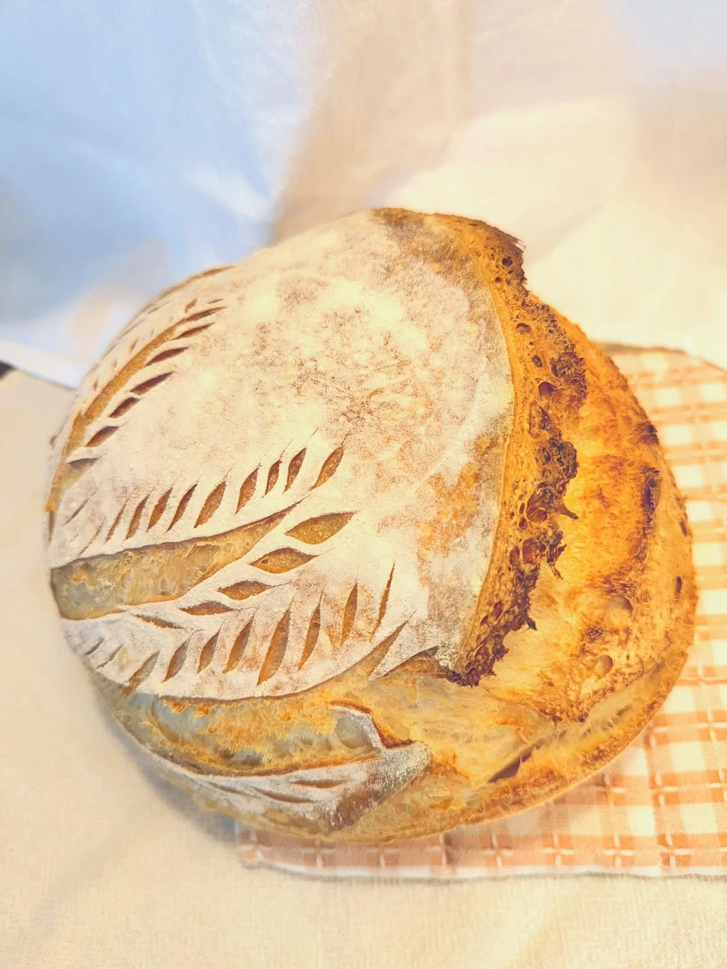 Place your order today for pick-up and delivery on Thursday September 18 at www.ladybread-baking.com!
