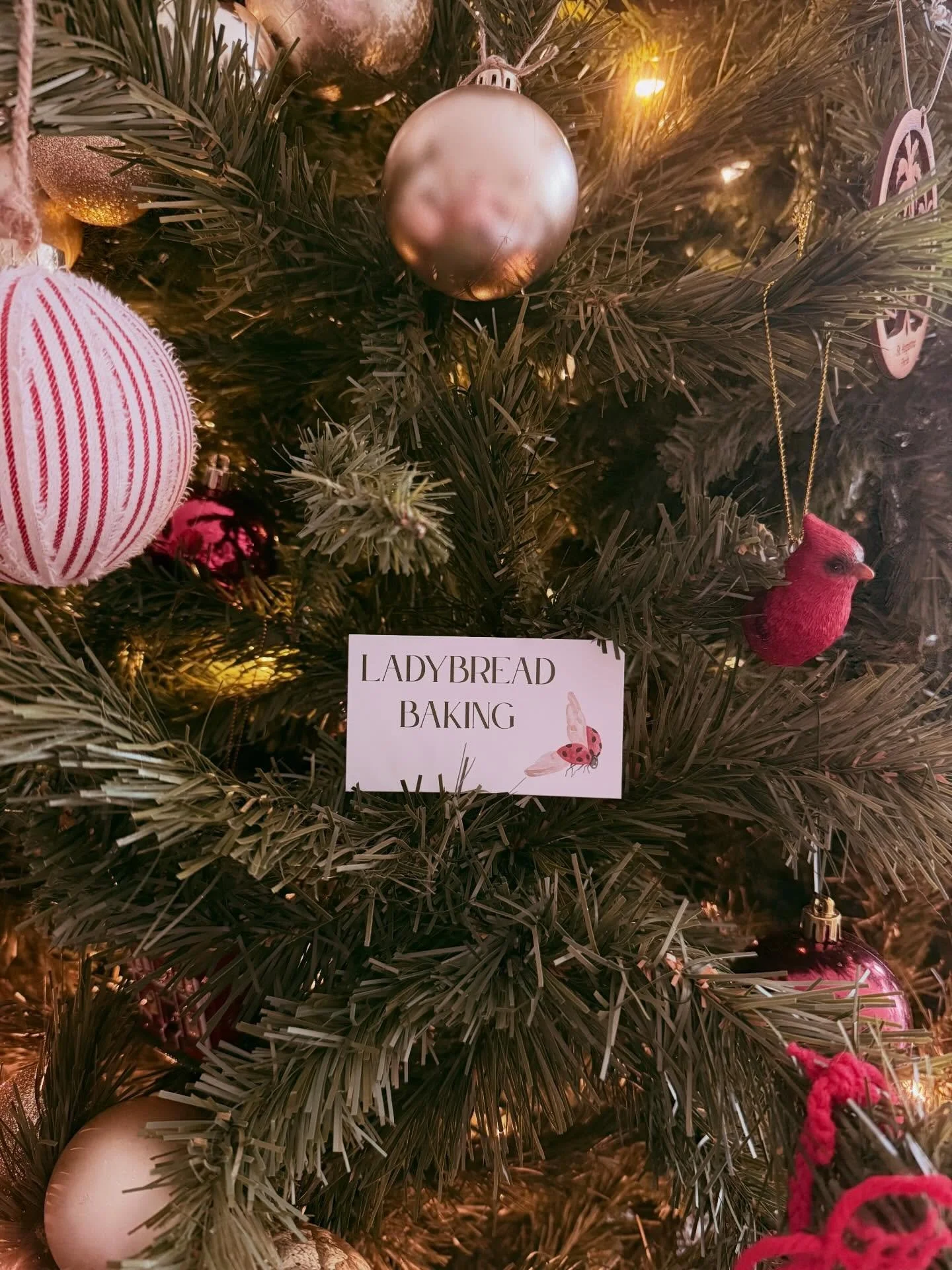 Wishing you all a very Merry Christmas! This is the last day to place orders for pick-up and delivery on Tuesday December 23- just in time for Christmas celebrations!

Our Variety boxes are a great way to ease the burden of cooking. Try out one of ou