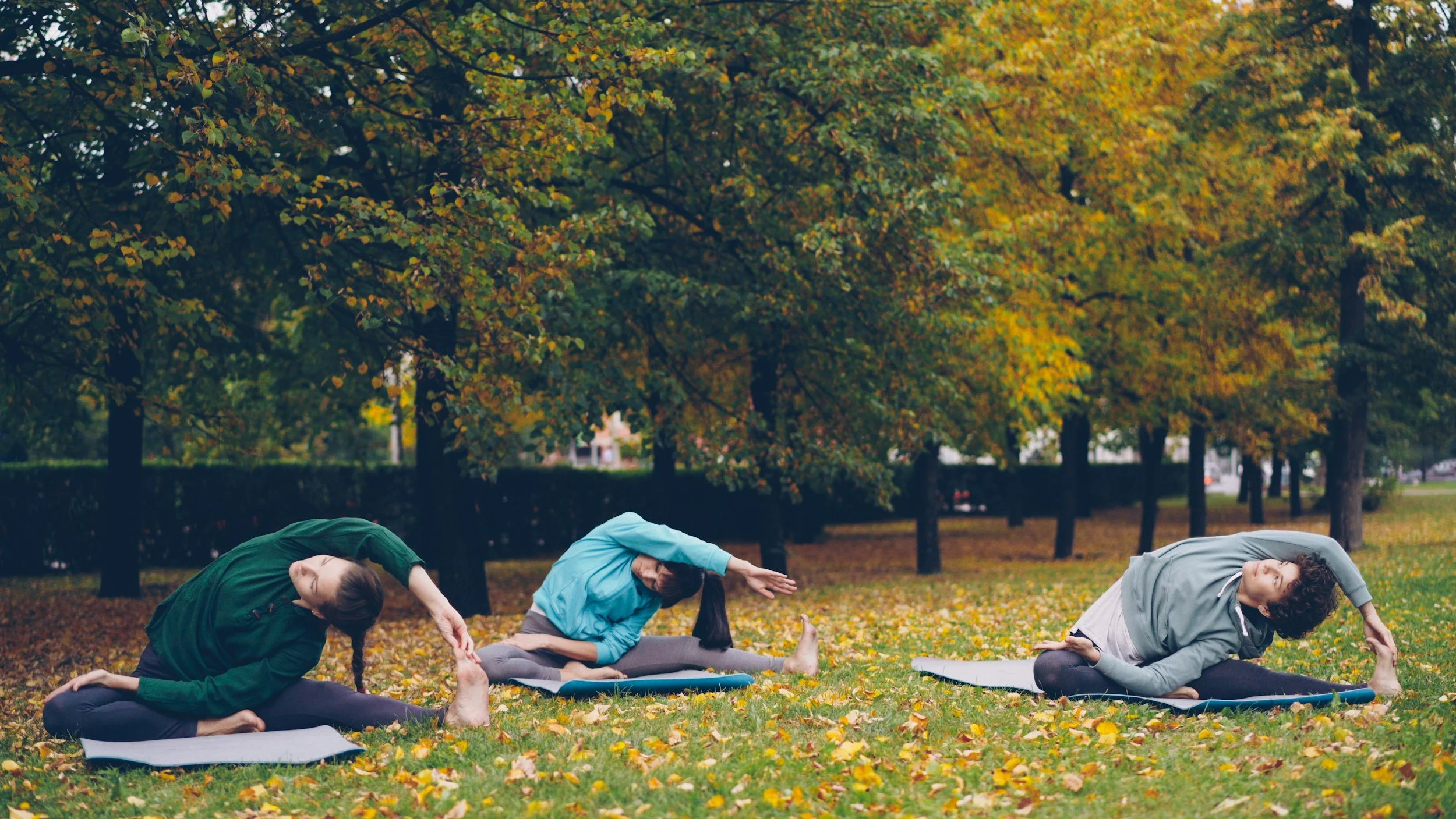 Three people stretching outside on yoga mats