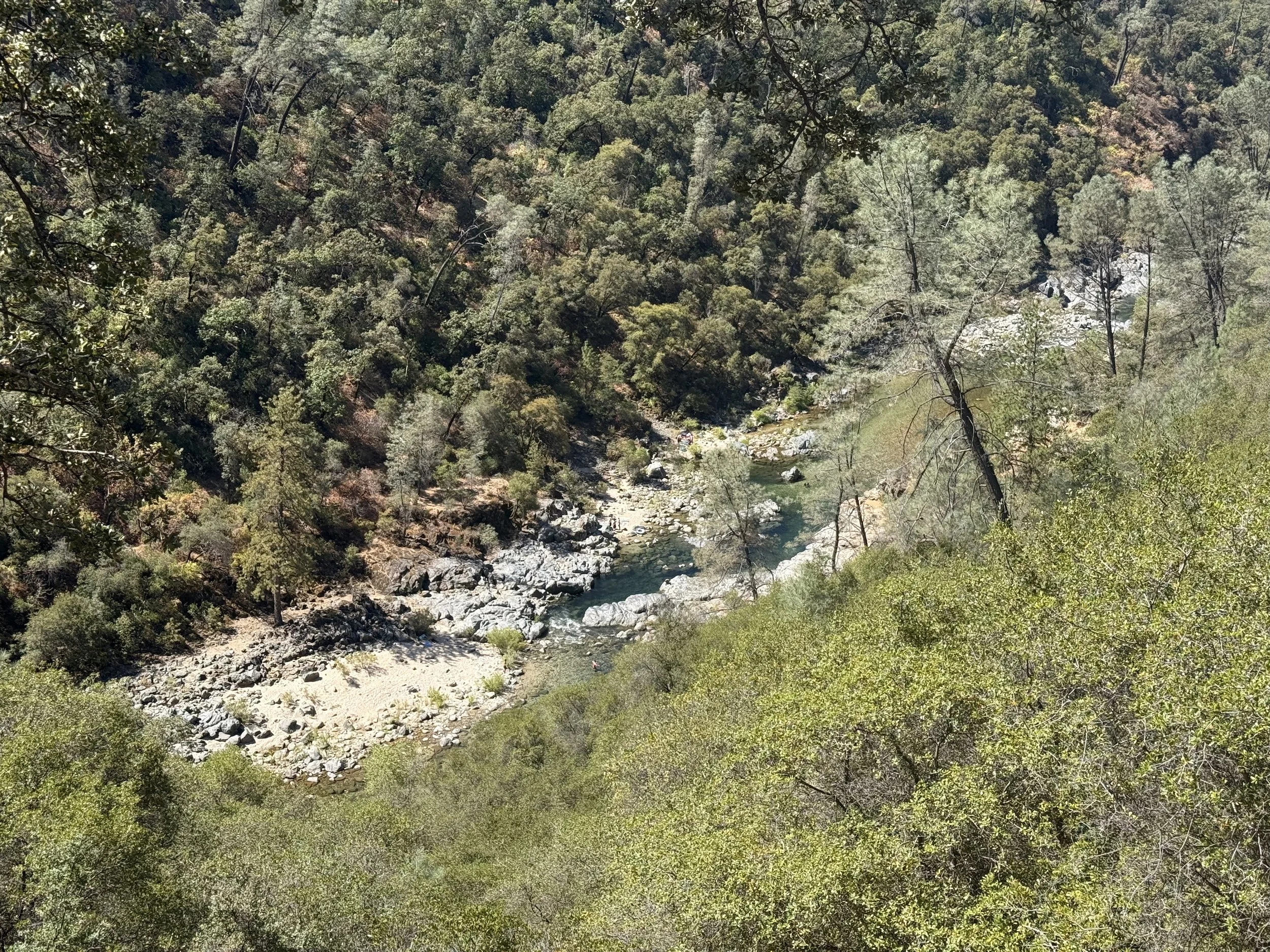 IMG_3282.jpeg