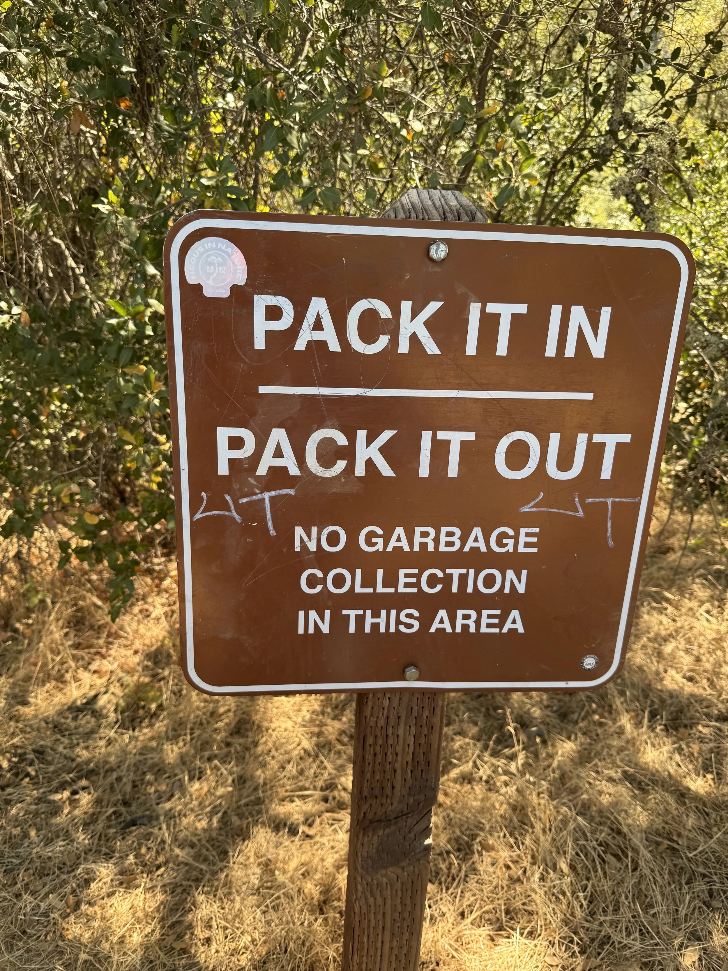 IMG_3284.jpeg