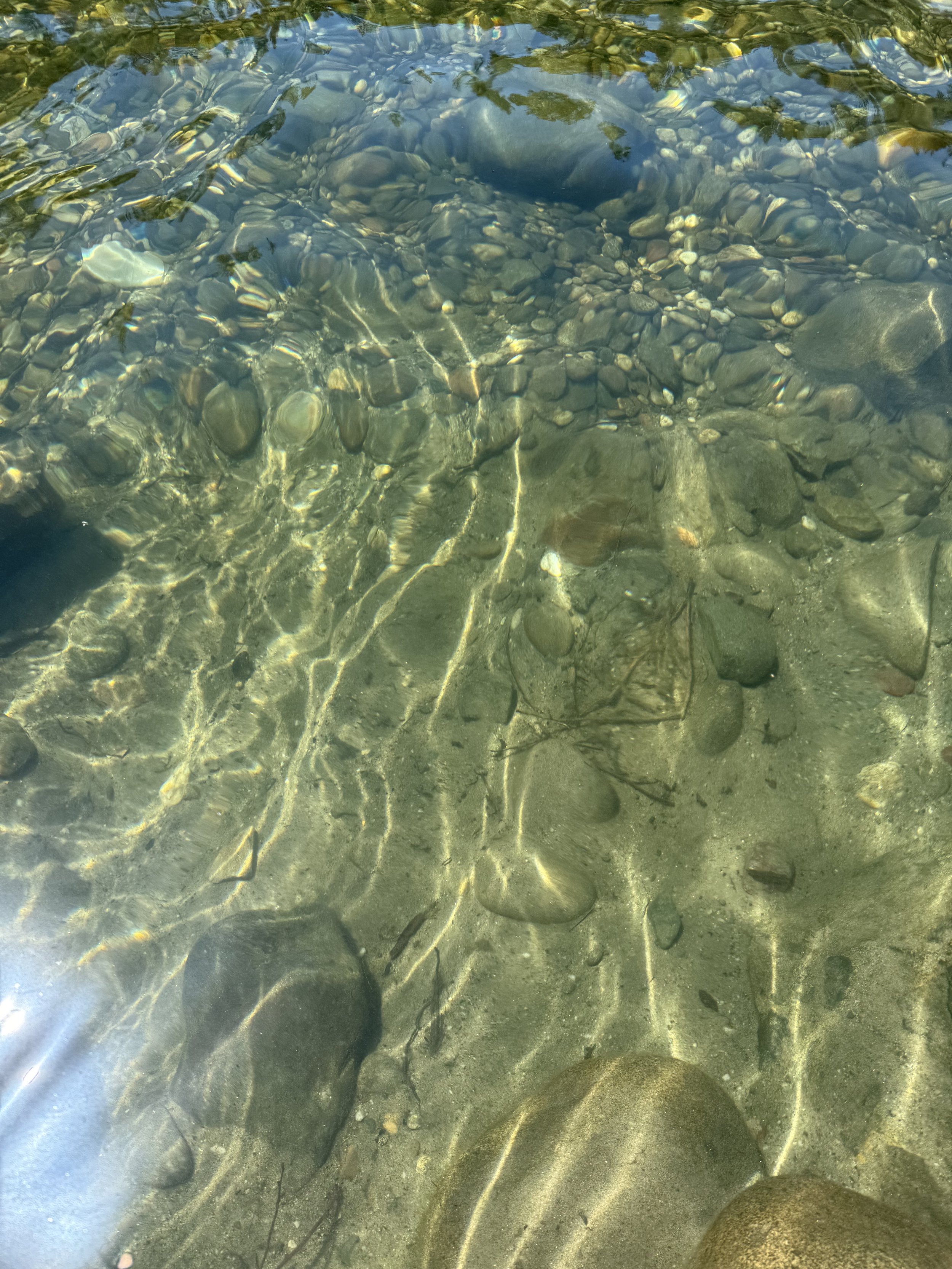 IMG_3303.jpeg