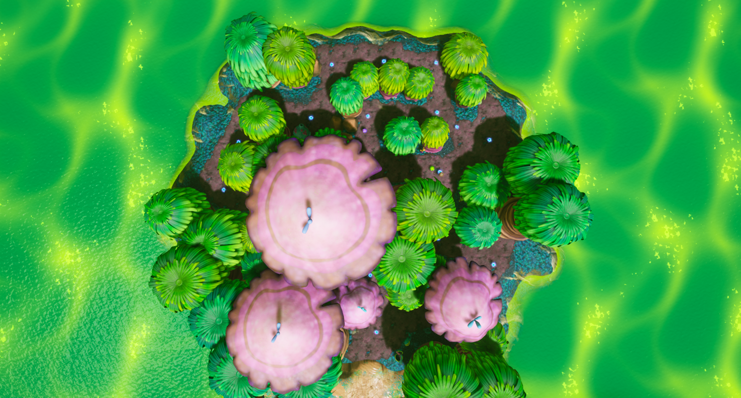 BOG_Lvl1_J3 (4).png