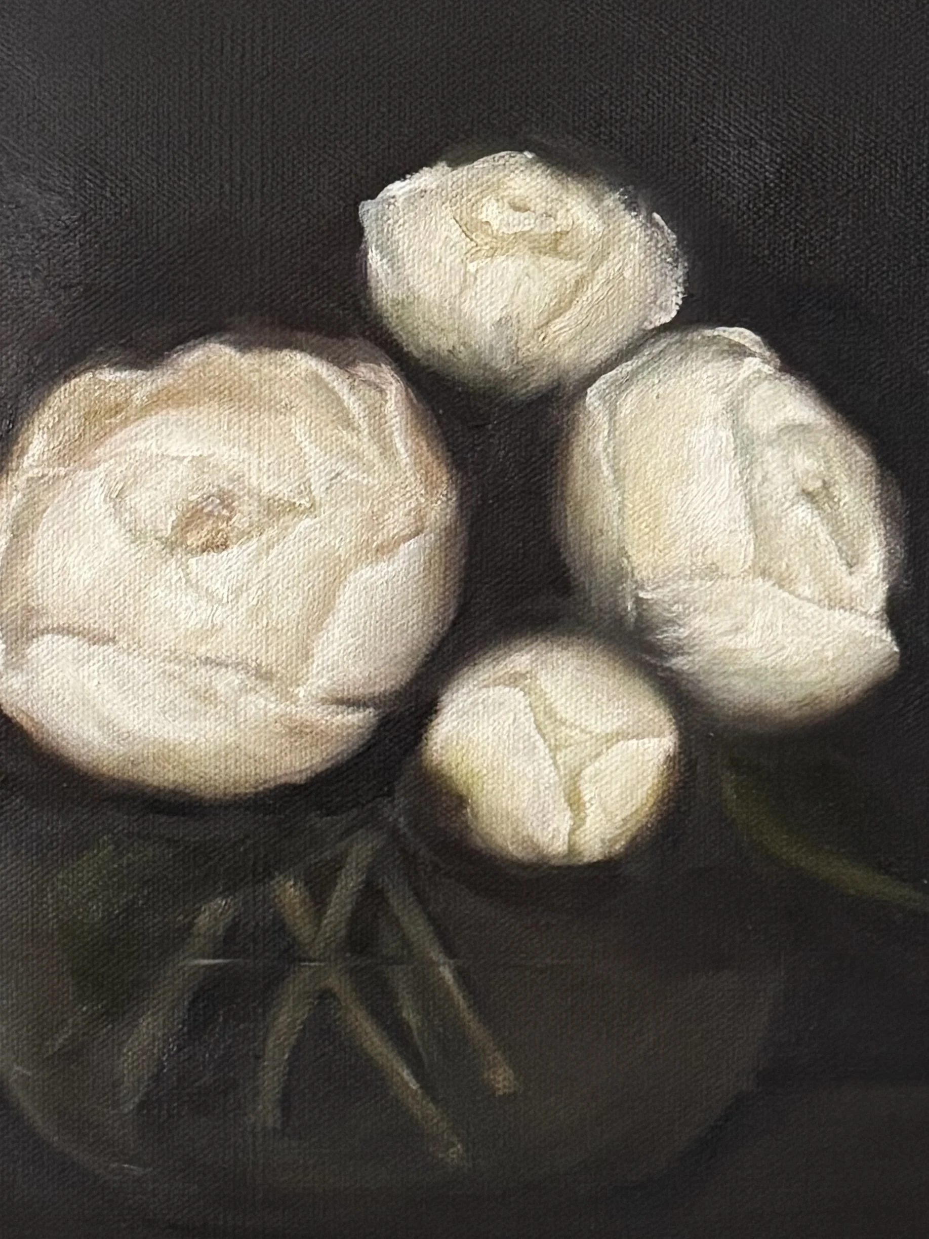 Peonies on black.jpg