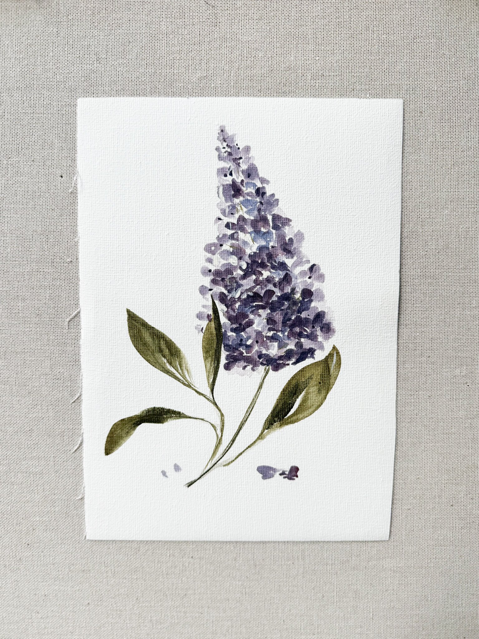 Lilac