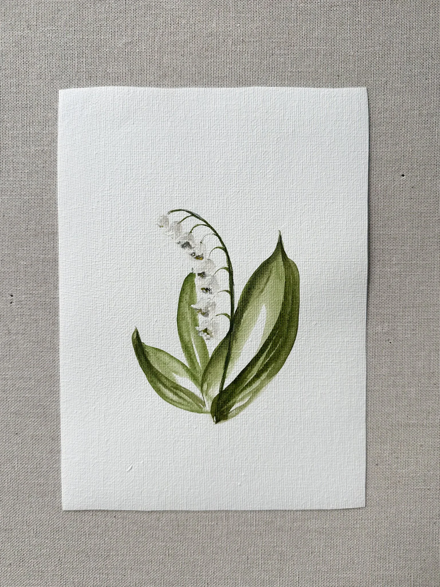 Lily of the Valley