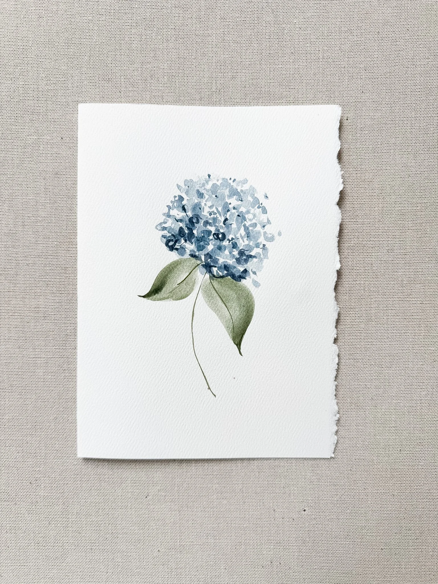 Hydrangea Stem.jpg