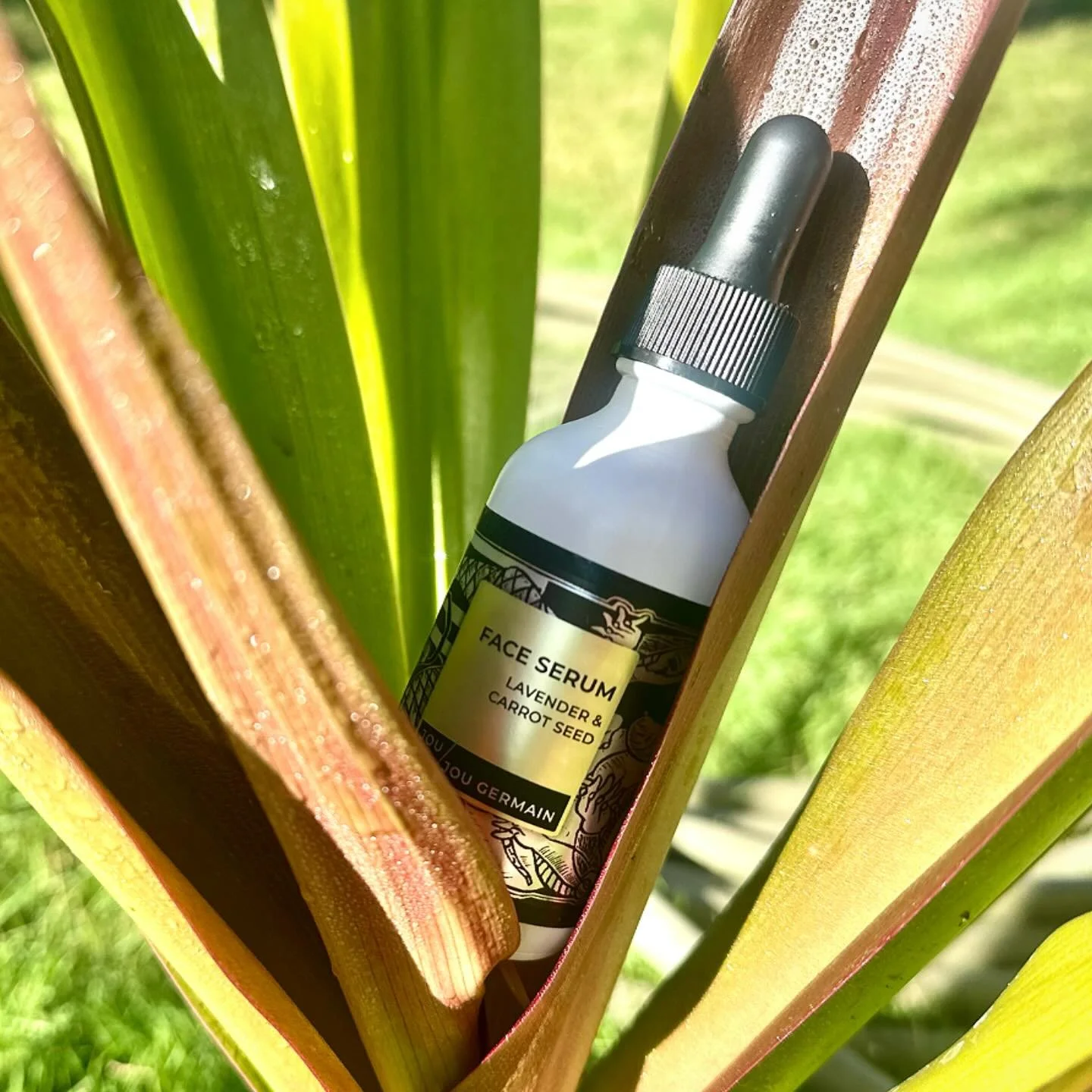 100% Plant-Based🌿

#veganskincare #madewithplants #skinglow #faceserum #lavender&amp;carrotseed
