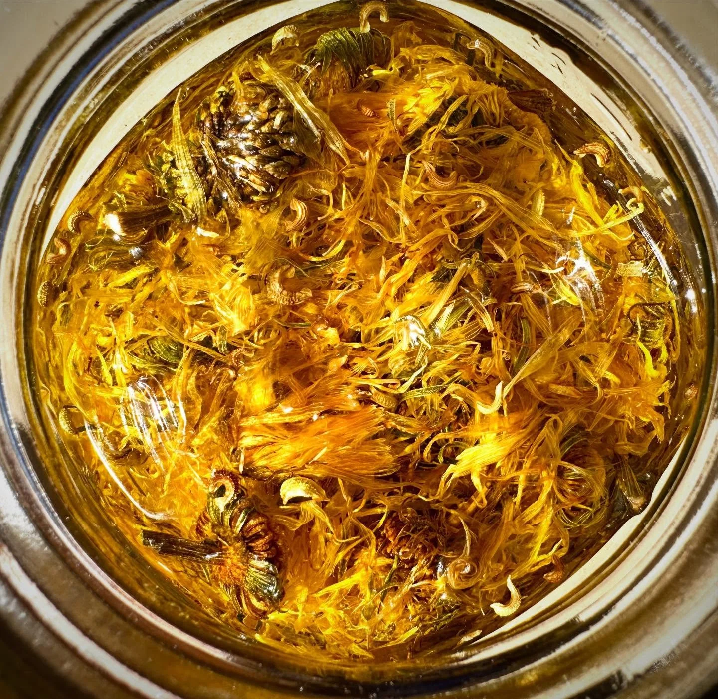 Infusing dried calendula flowers in olive oil for Jou/Jou Healing Salve ✨Available in the shop February 2026✨

#healingsalve #calendulaflowers #plantbasedskincare🌱