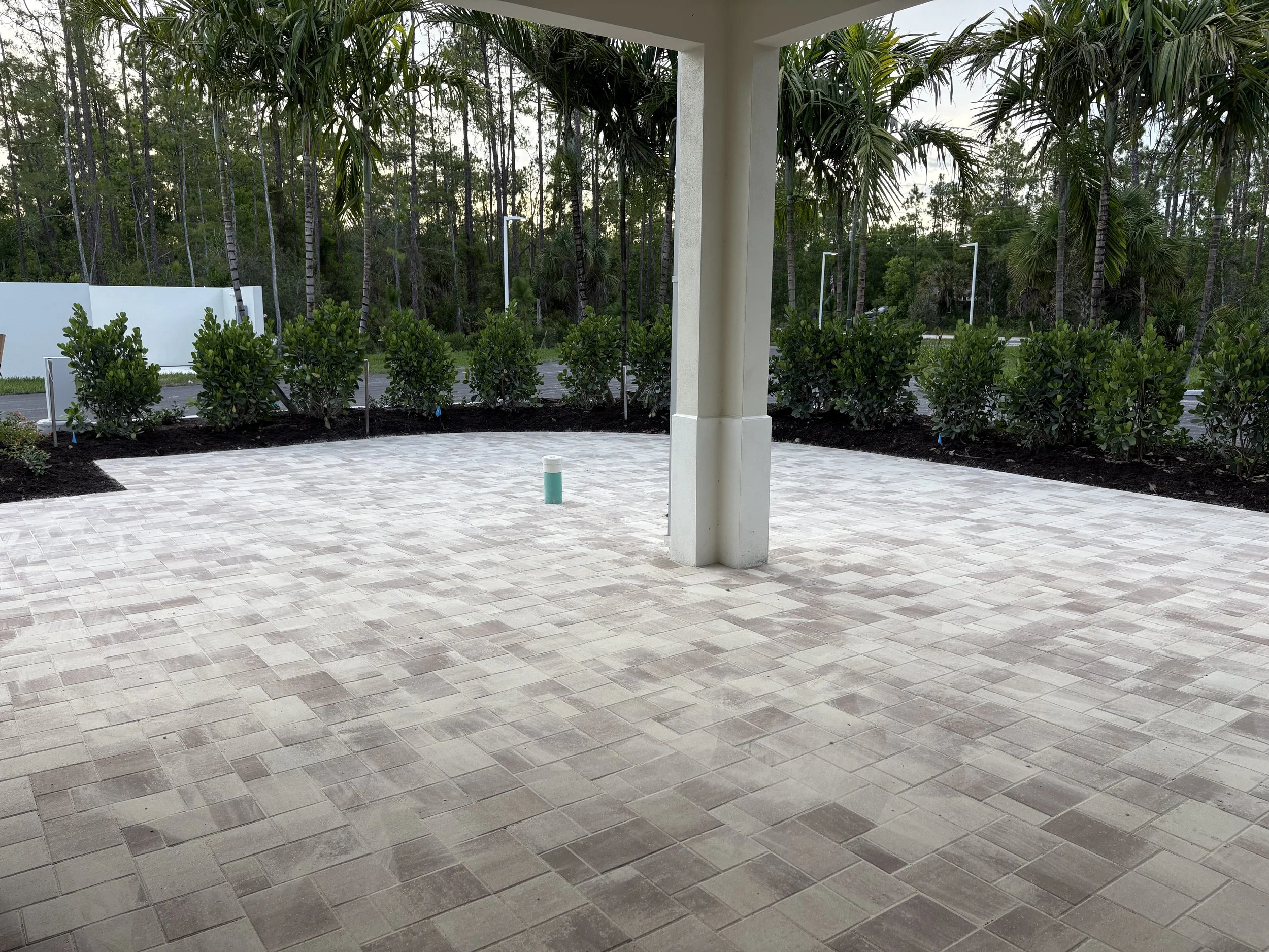 Empty outdoor patio area with beige tile flooring, surrounded by green bushes and palm trees in the background, with a white wall and trees beyond.