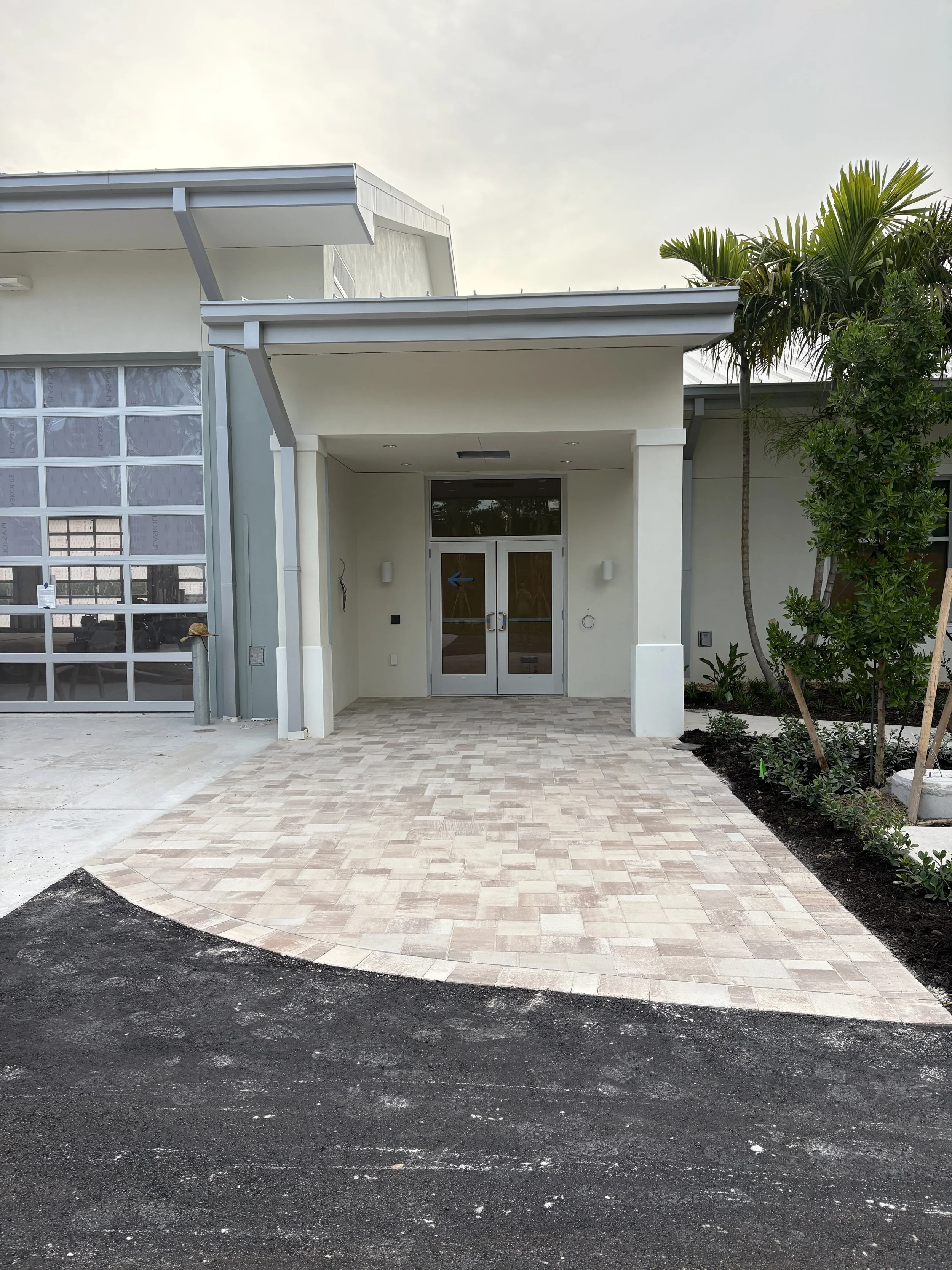 Modern building entrance with glass double doors, paved pathway, and landscaping with palm trees and shrubs on the right.