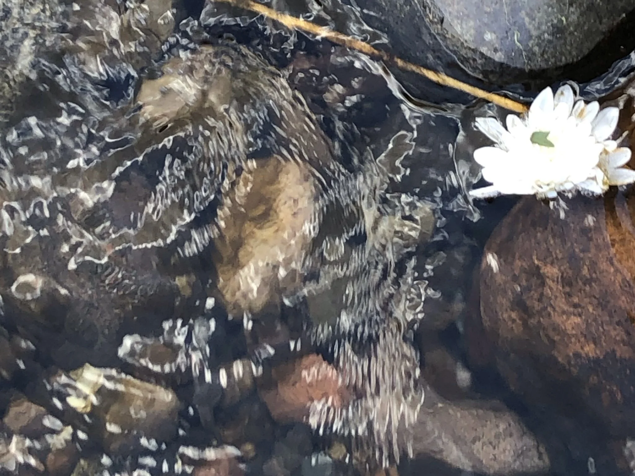 Let’s Revolt, be creative!