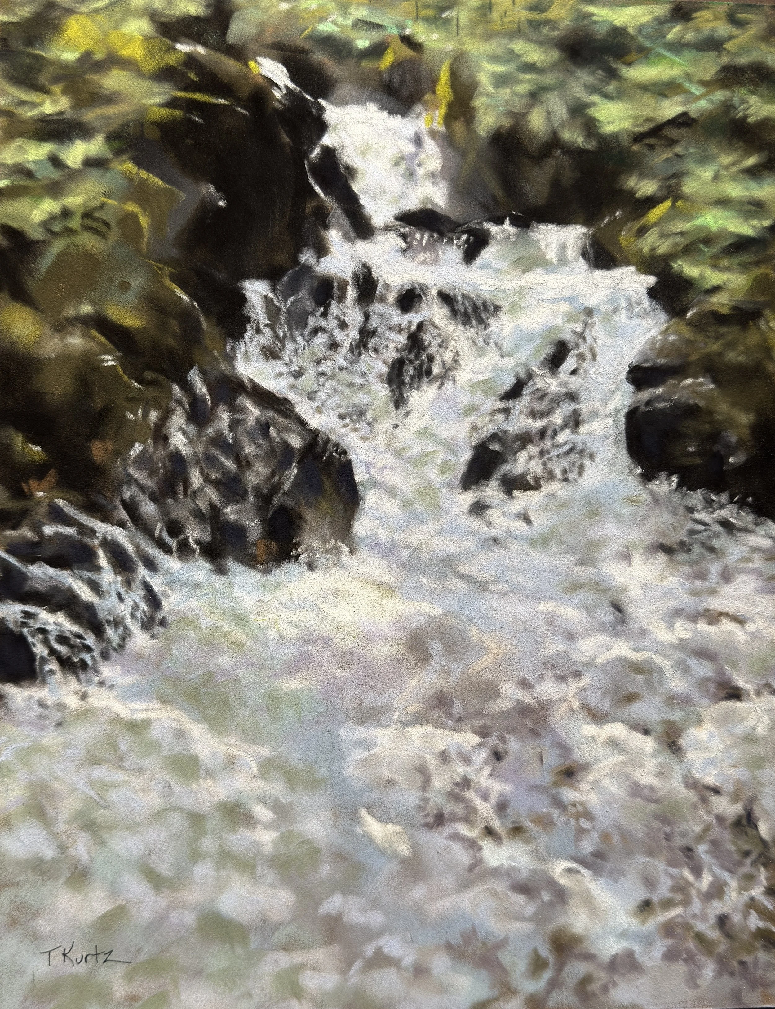 Old dogs can still learn new tricks.