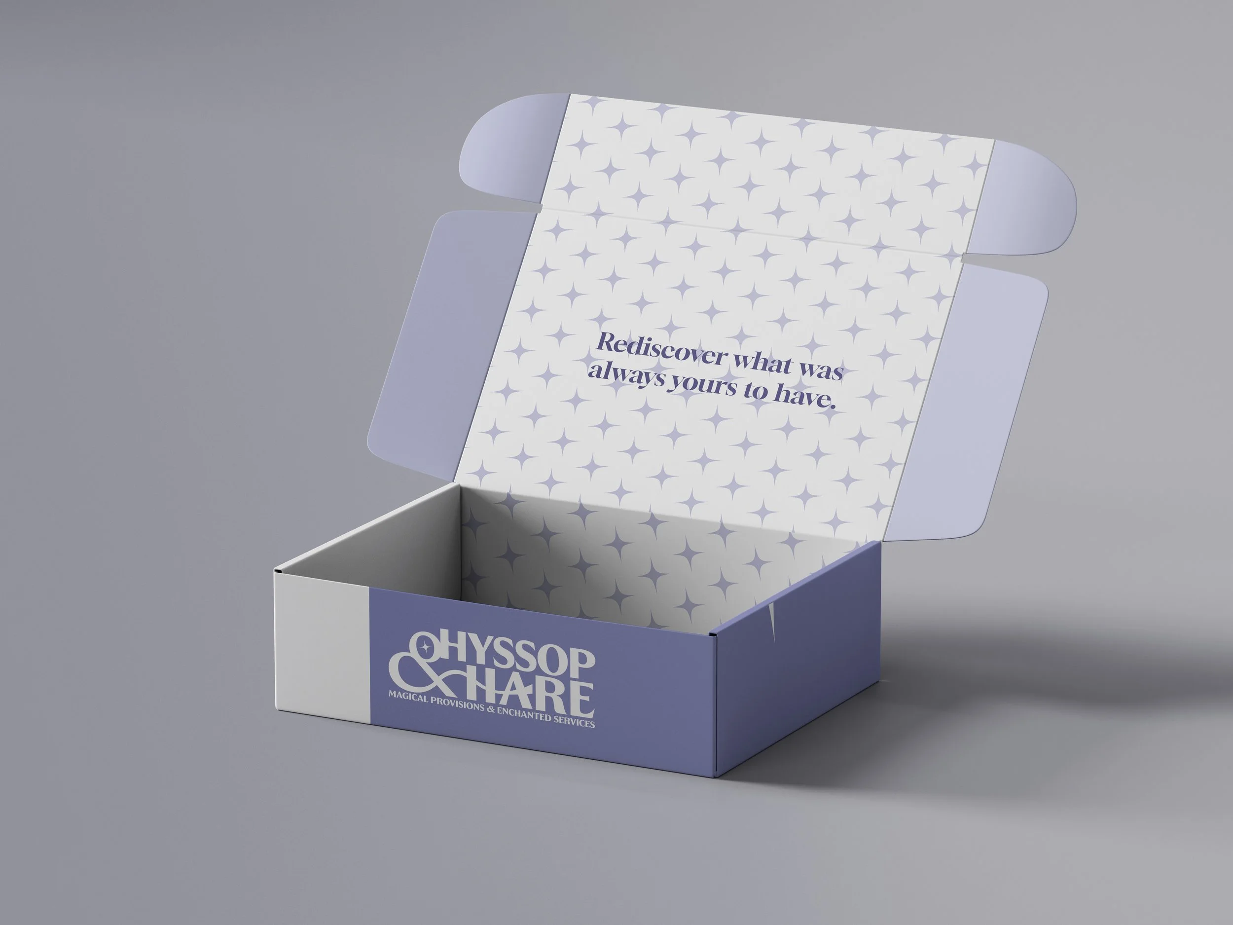 Pinch Lock Box Mockup.jpg