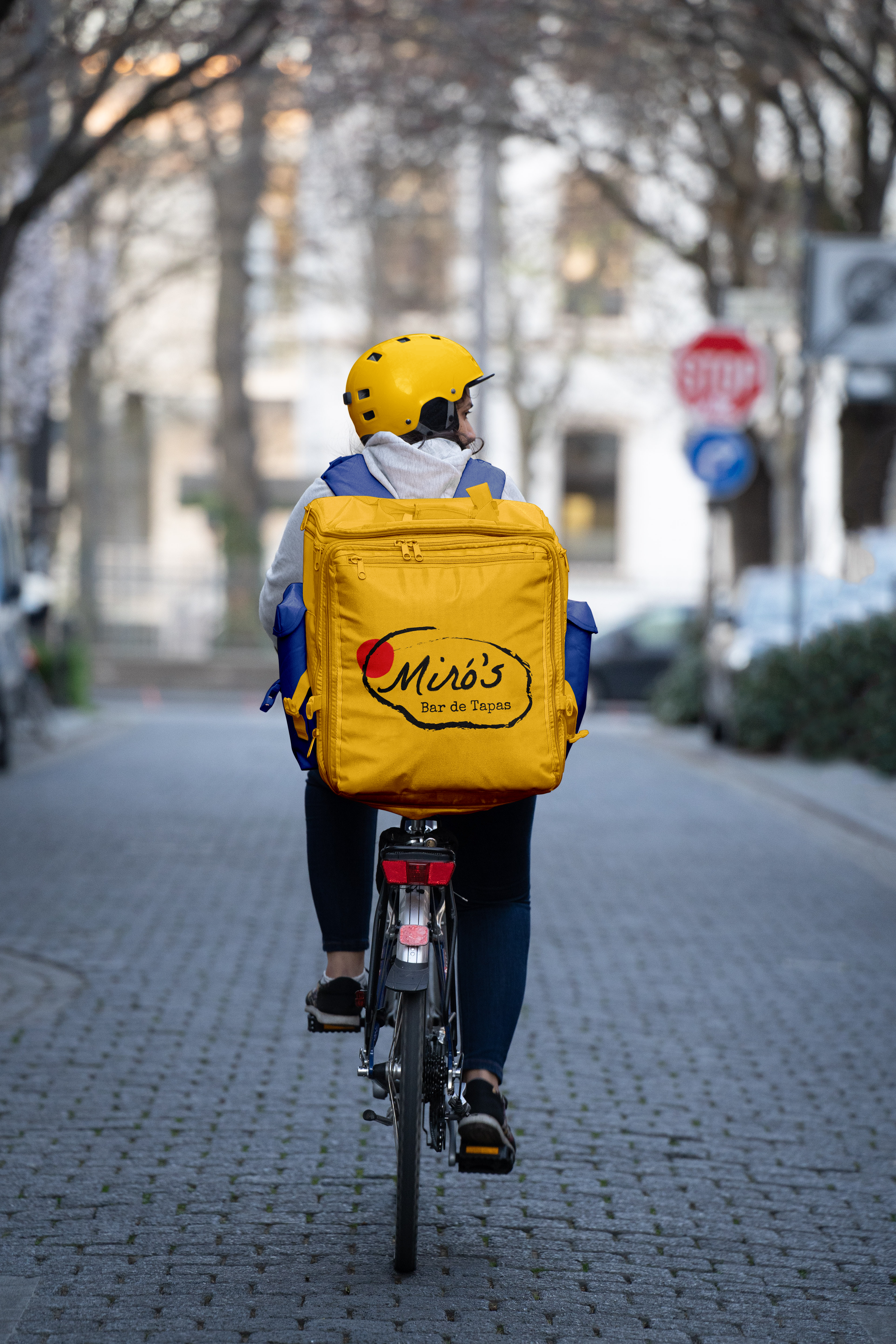 DeliveryBackpackMiros.png