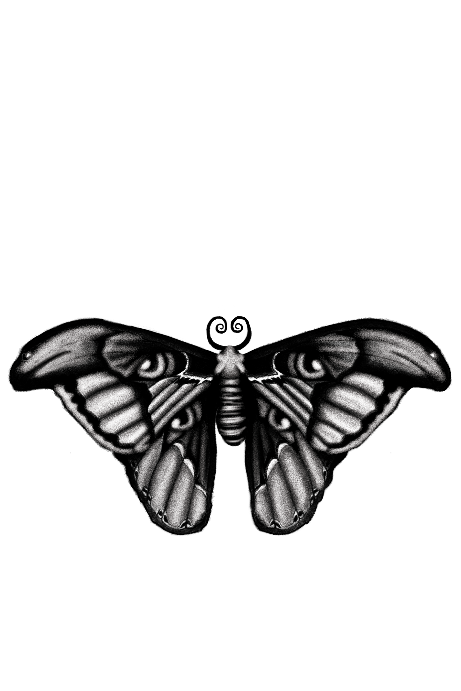 moth.png