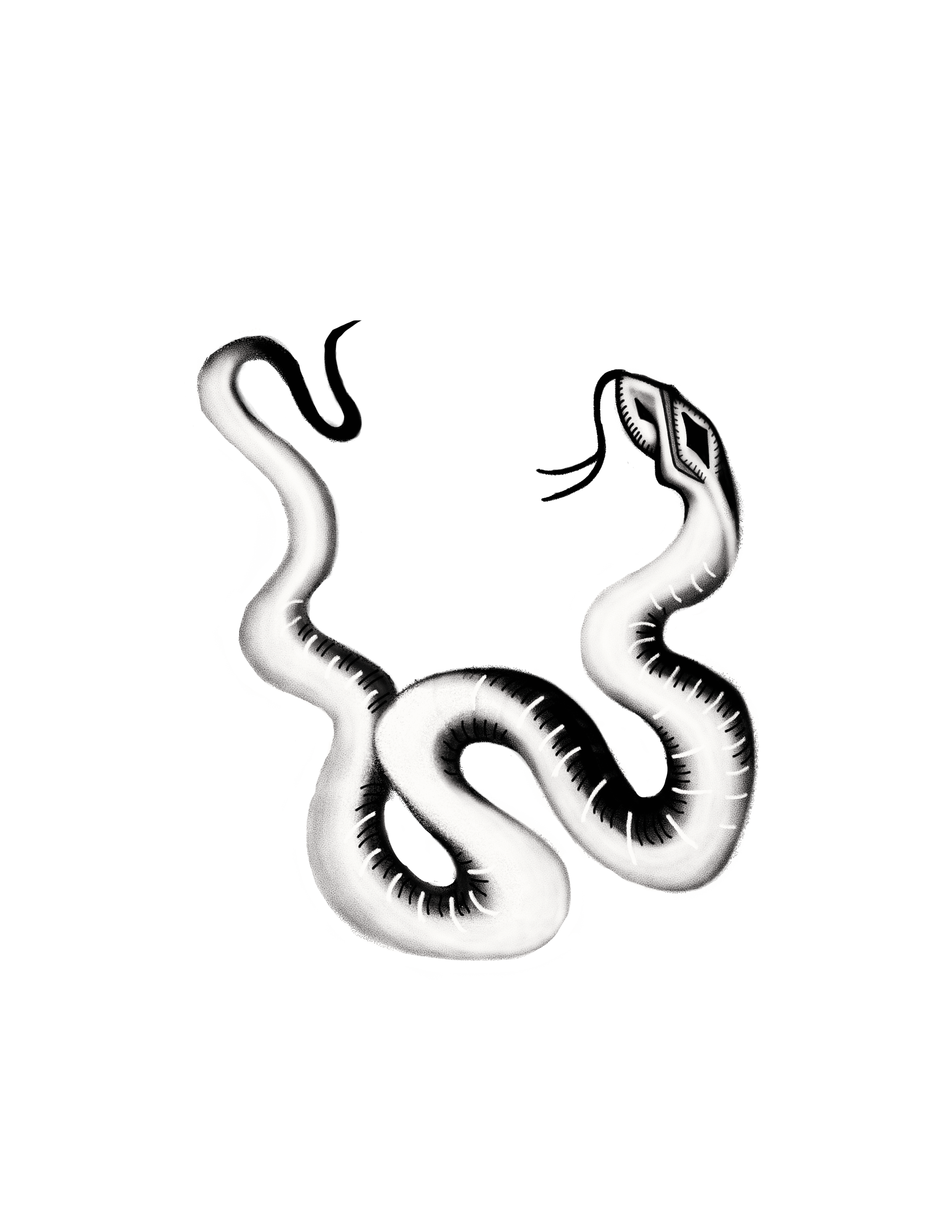 Snake.png
