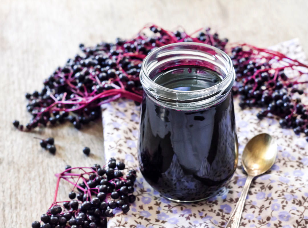 Elderberry Gummies.png